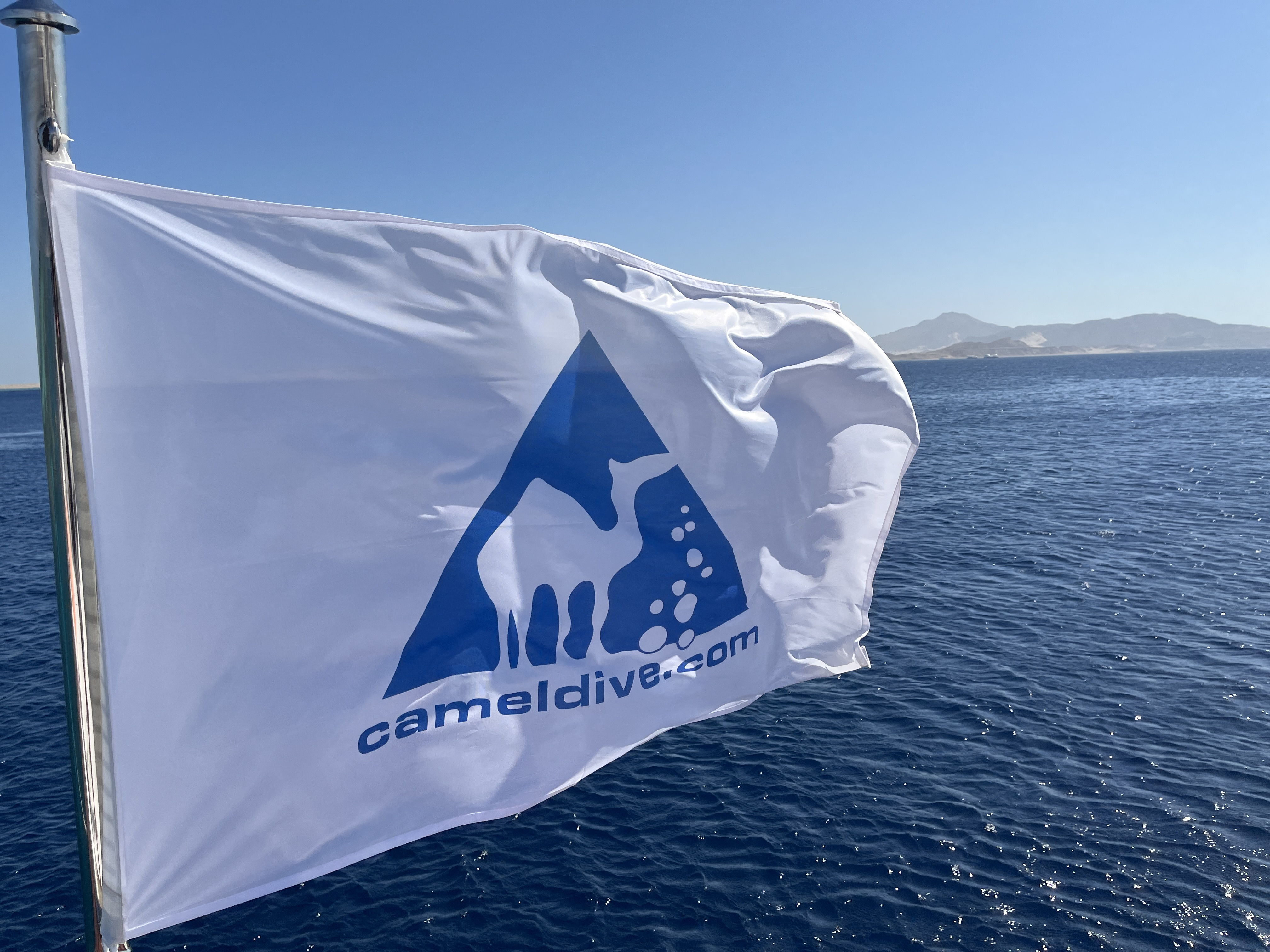 Camel Dive