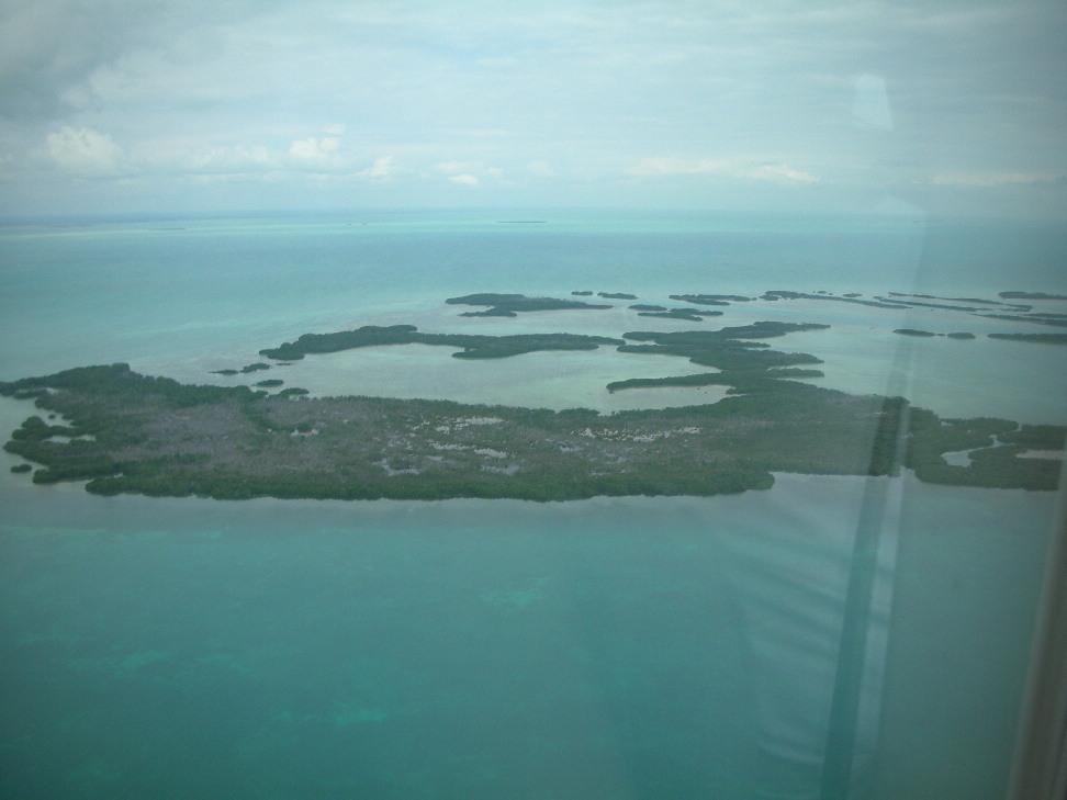 Cayes
