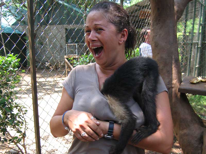 Cheeky Monkey