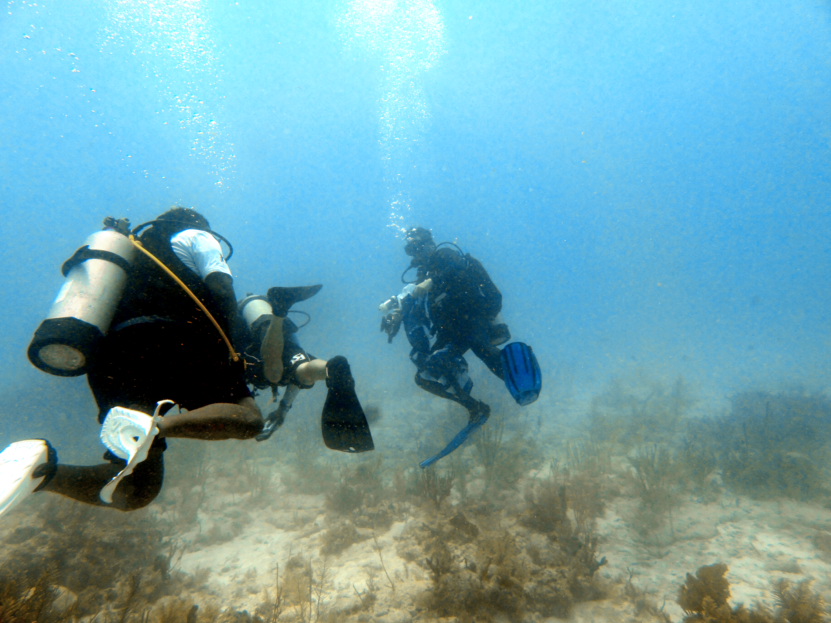 CHUMmers on Horseshoe Reef