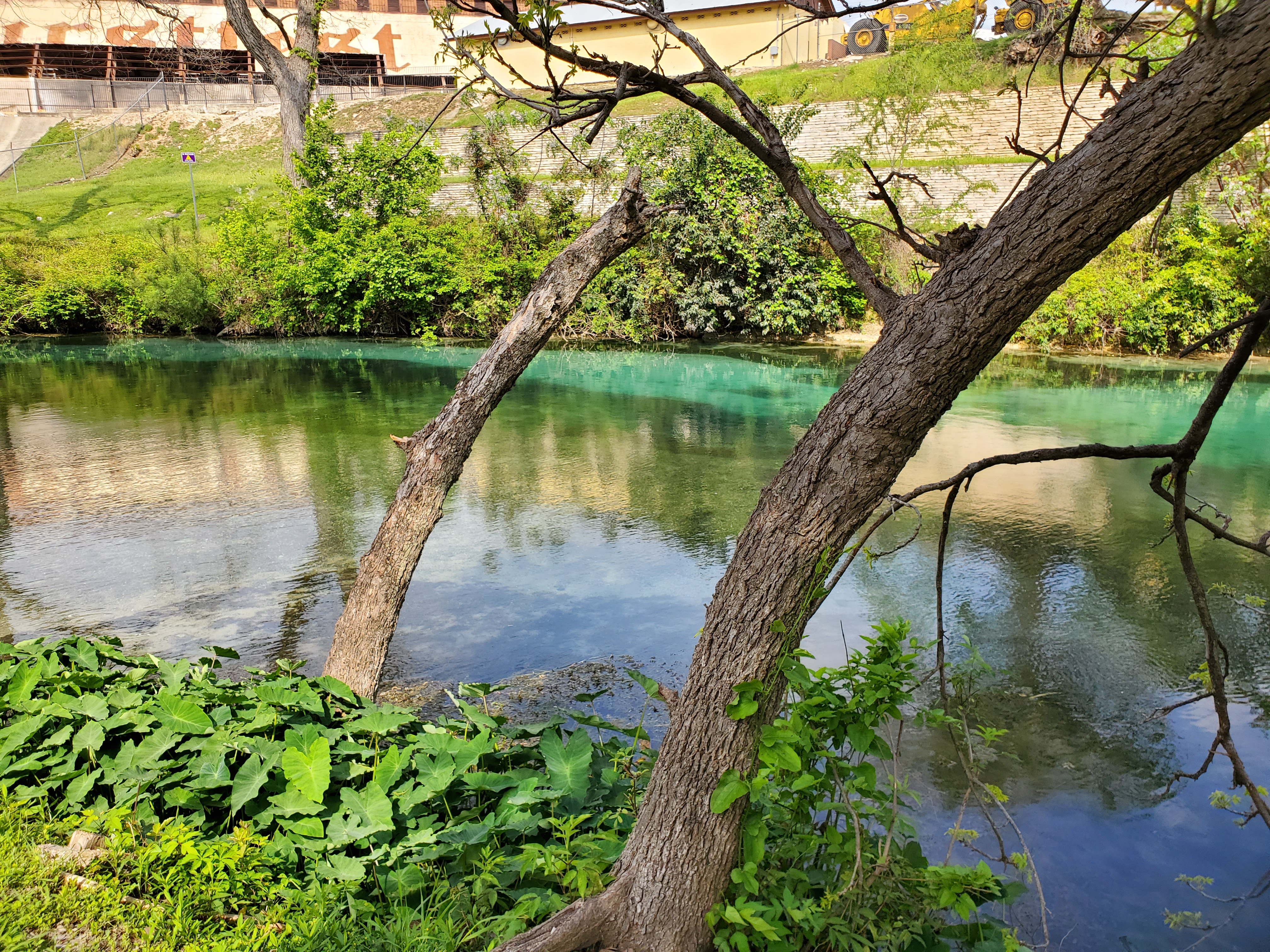 Comal02