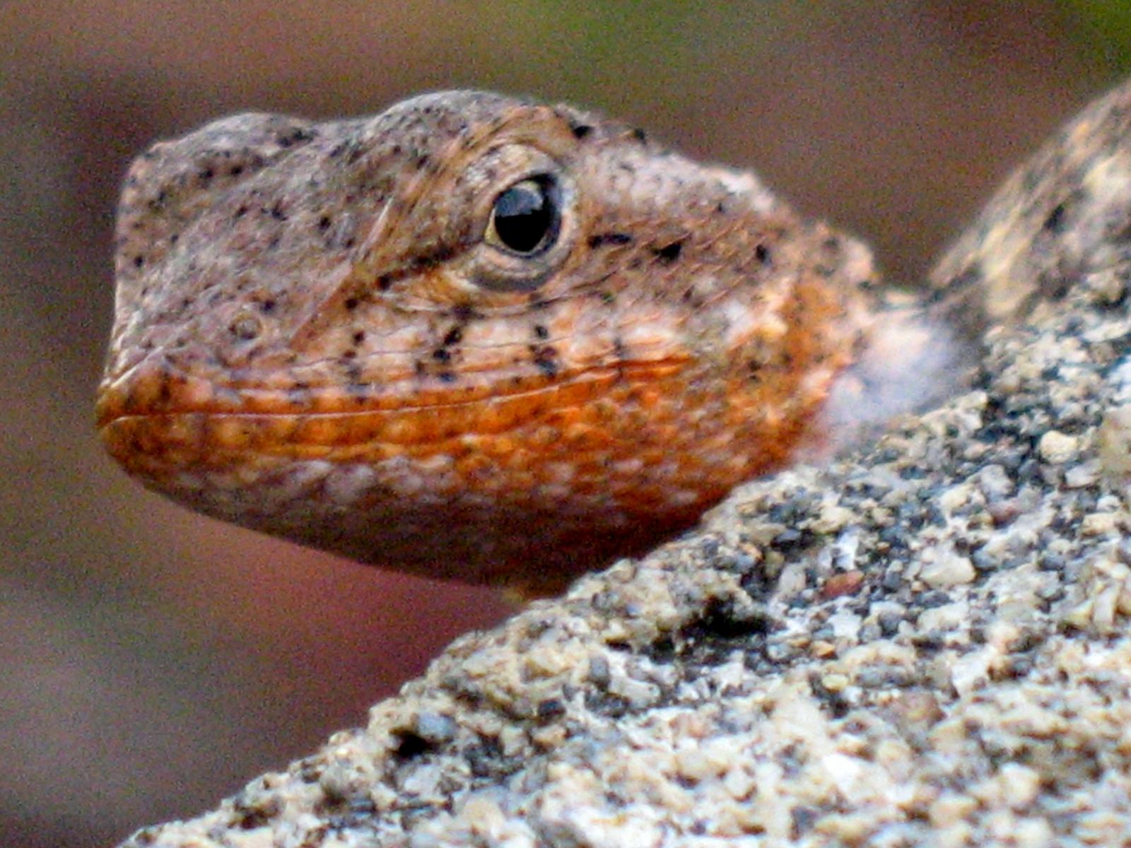 costaricapic019