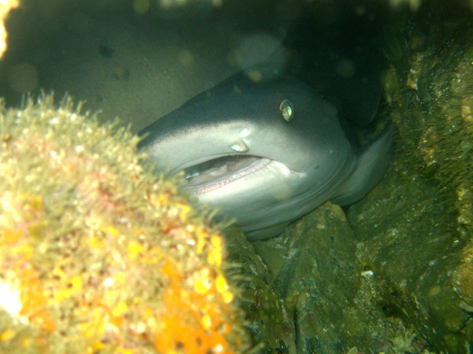 costaricapic021