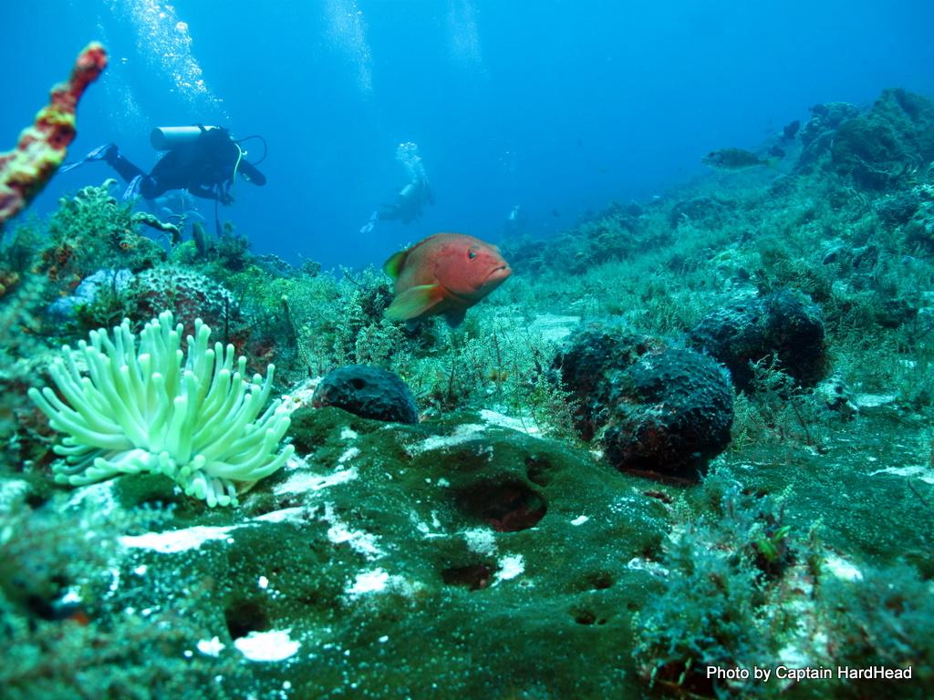 Cozumel