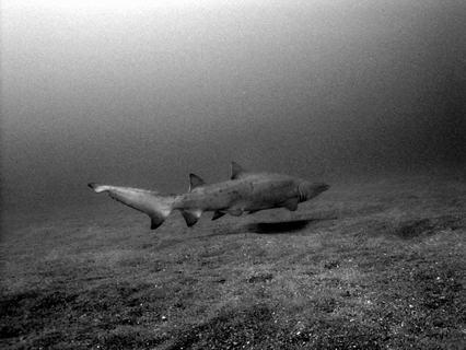 CRW_4857