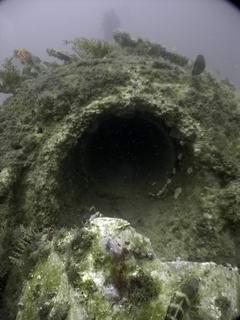 CRW_5053