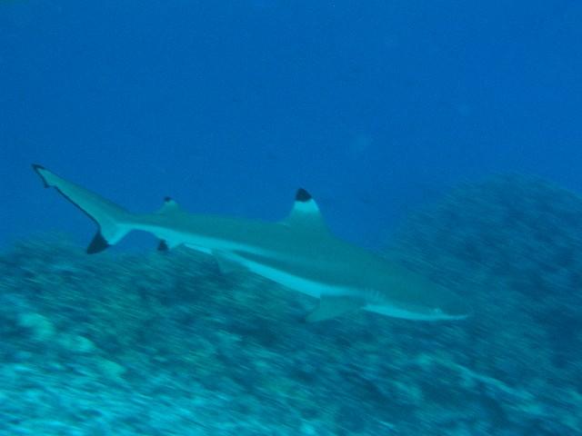 CRW_5554