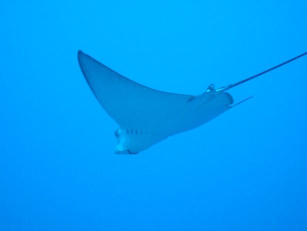 CRW_5628
