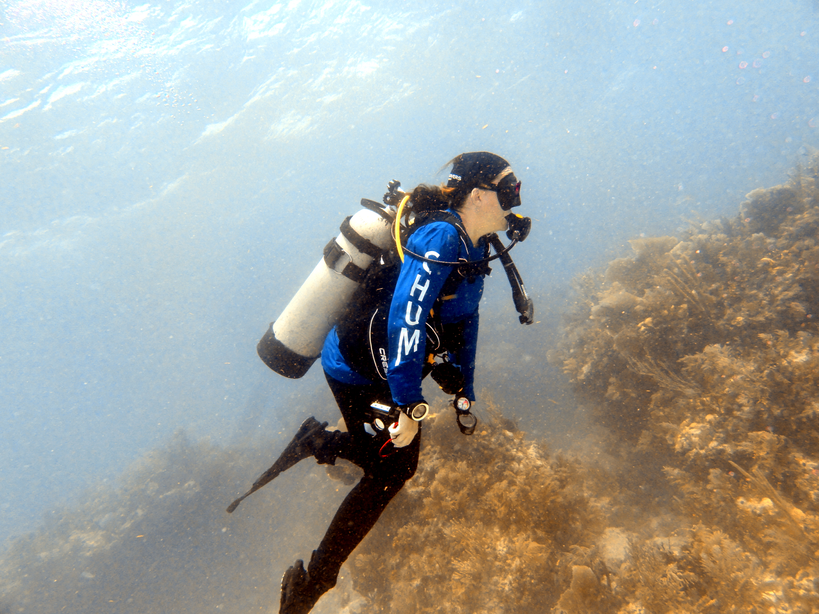 Deep Bubbles on Horseshoe Reef