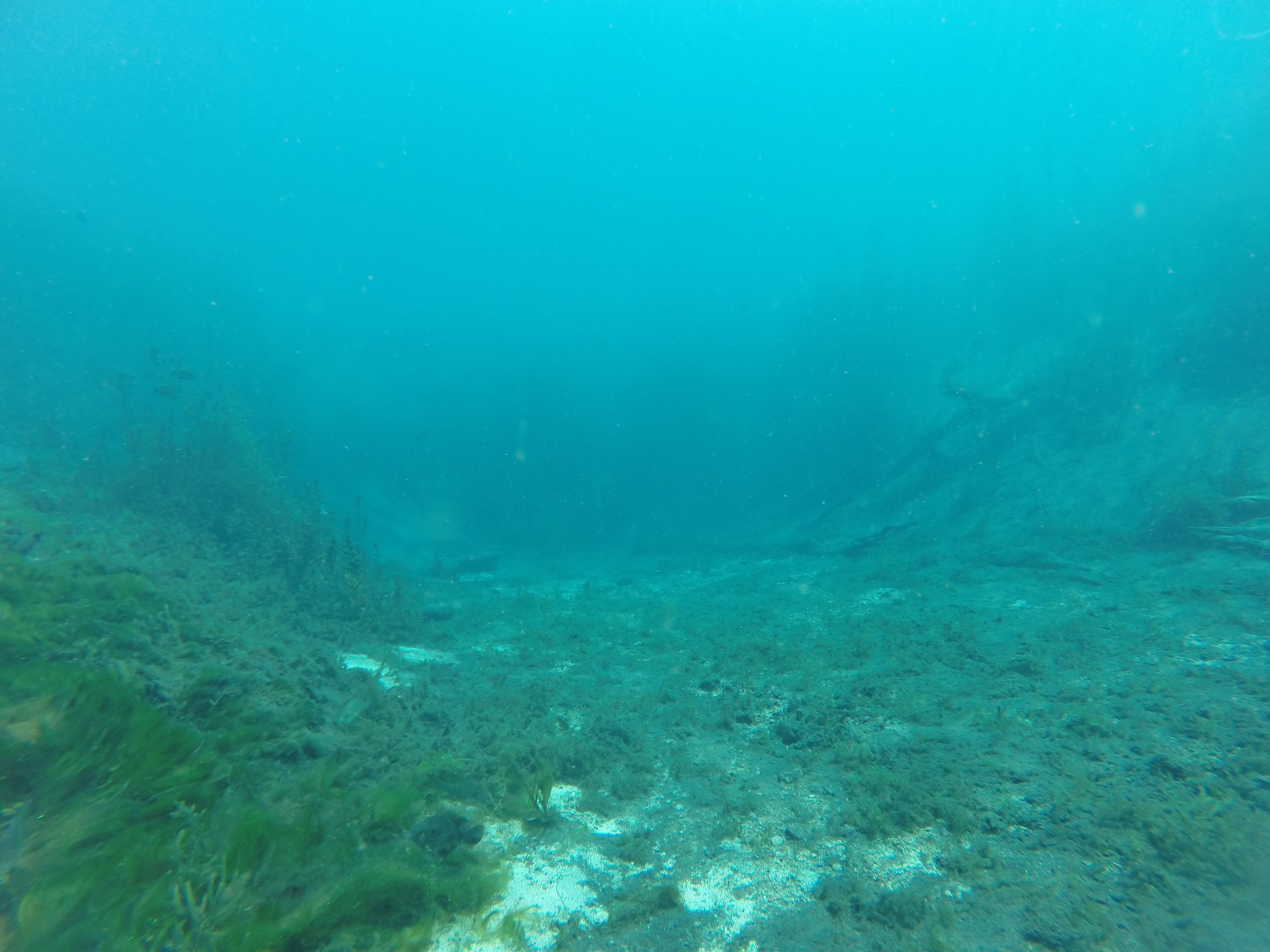 Deep Hole, After