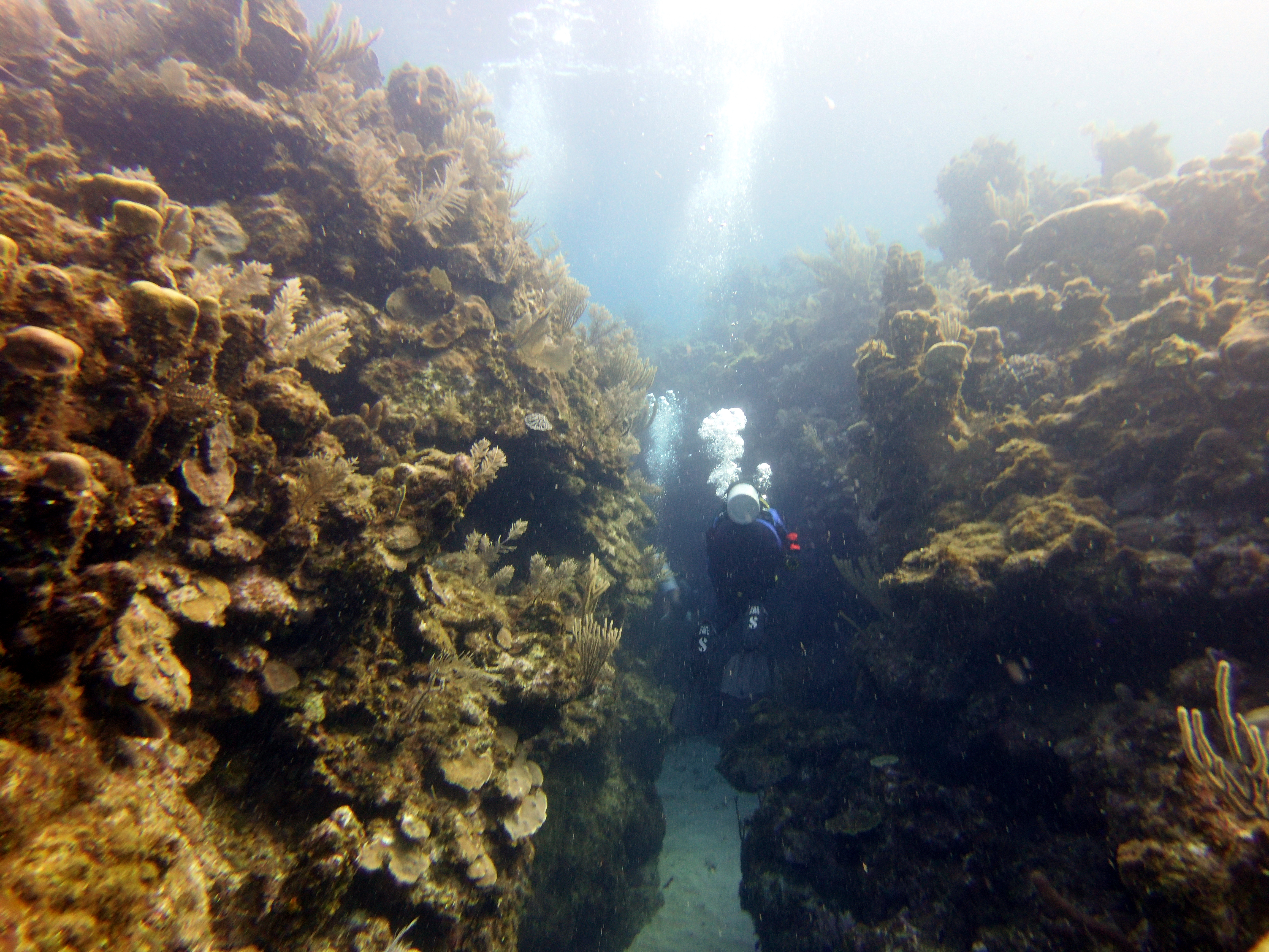 Deepbubbles heading into the swim-thru at Blue Channel
