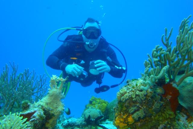 Diver Dan