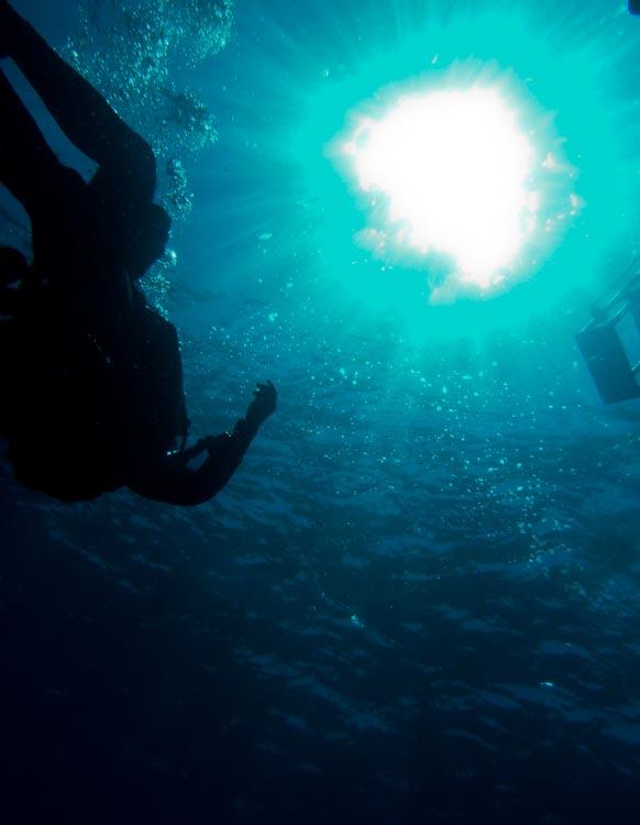 Diver in the Sun
