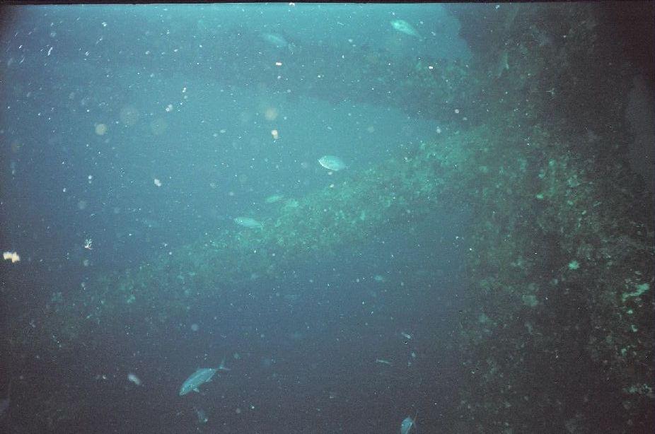 Diver_t