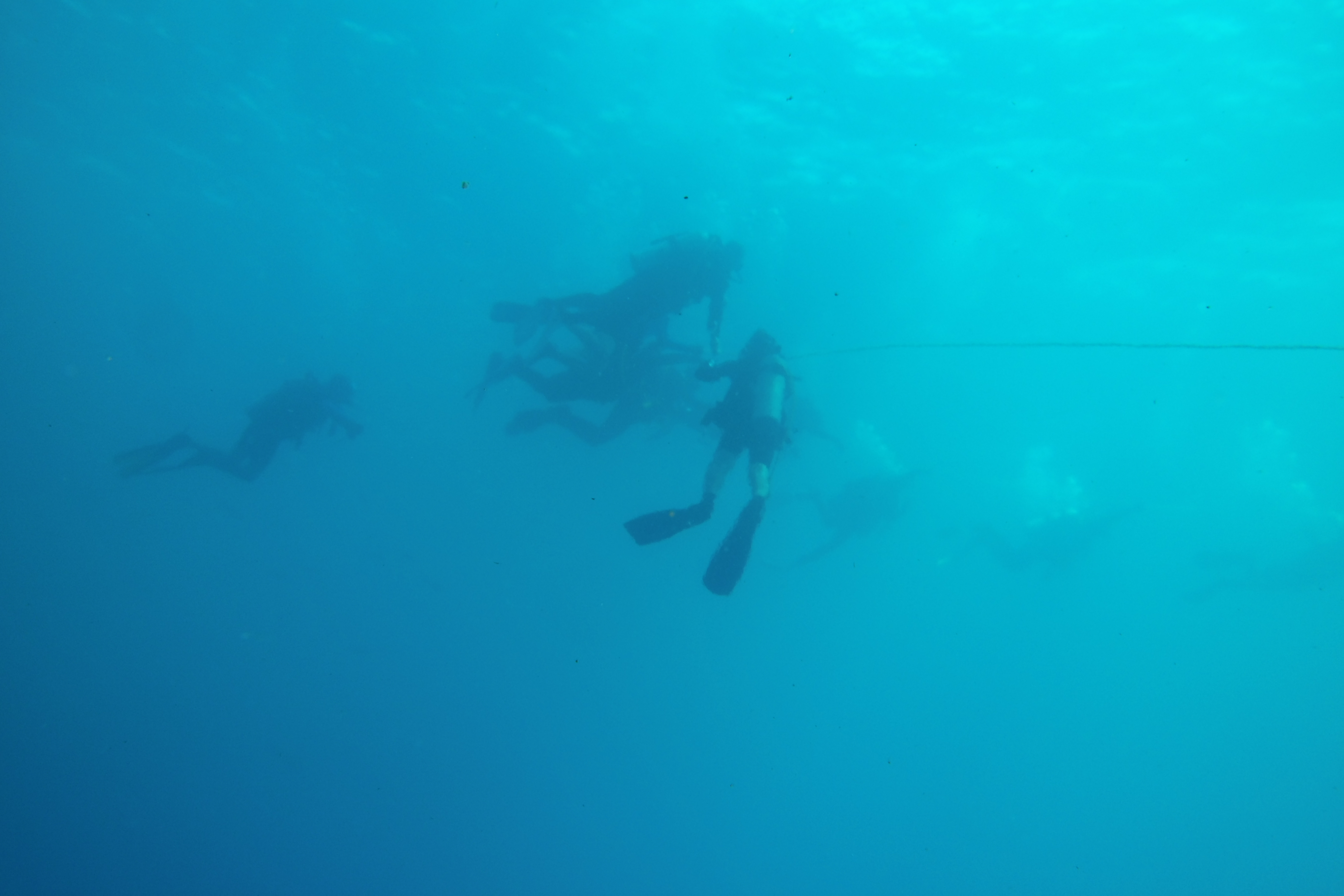 Divers heading back to Fling from HI 379B