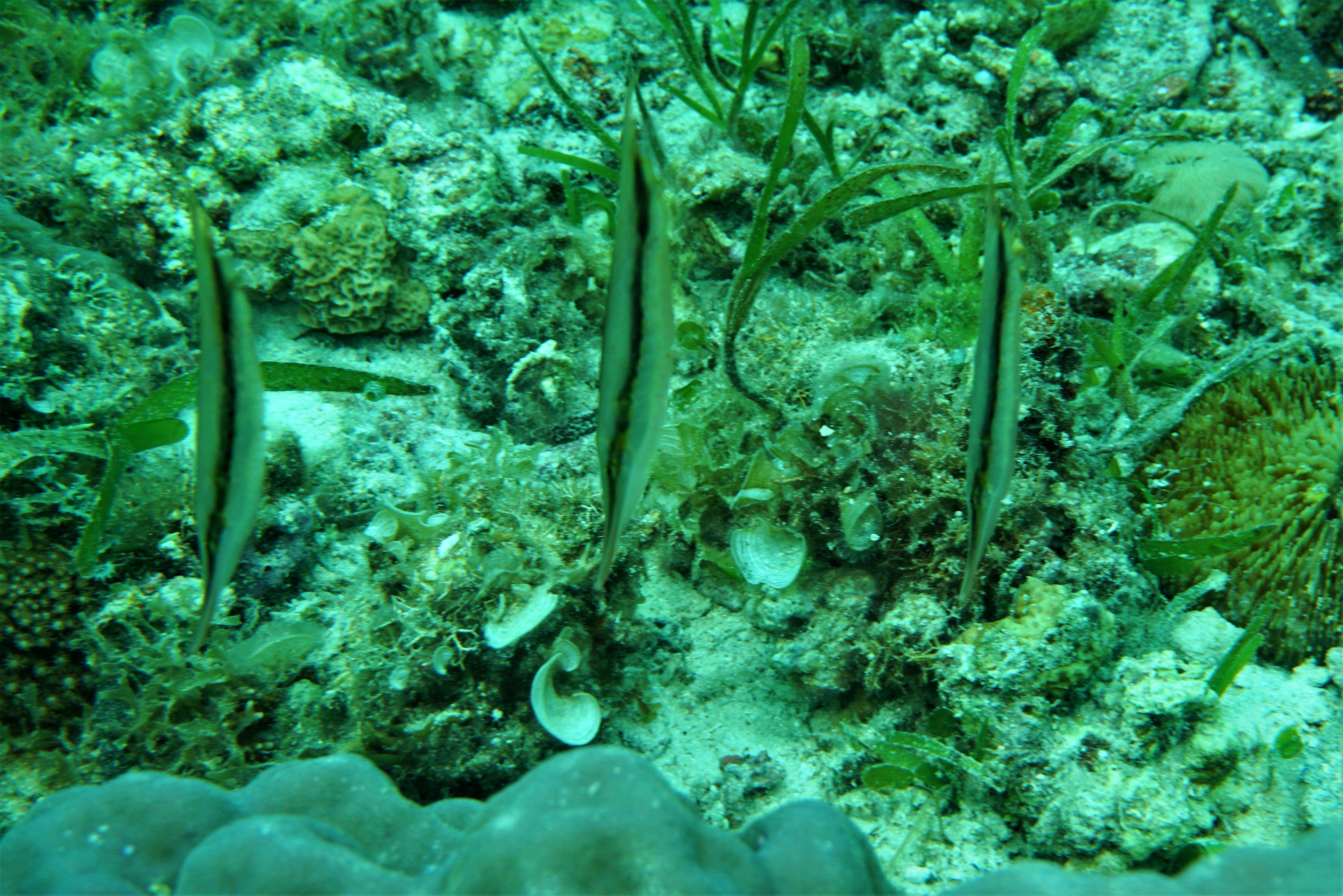 DSC01095