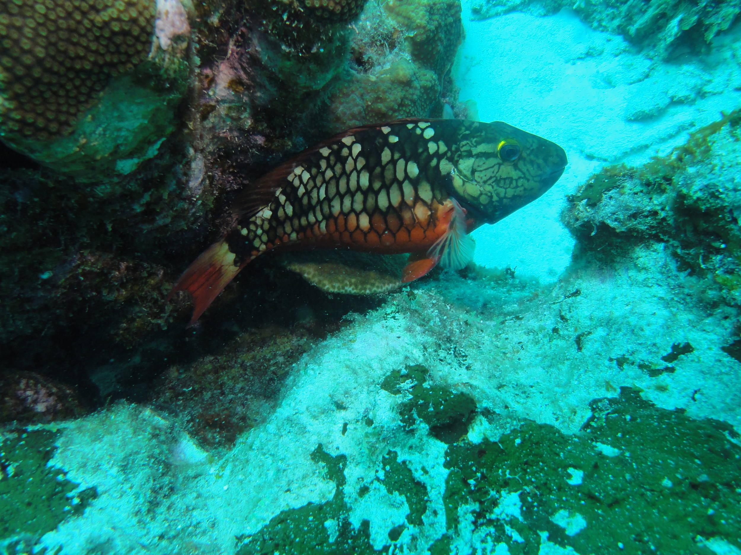 DSC04505