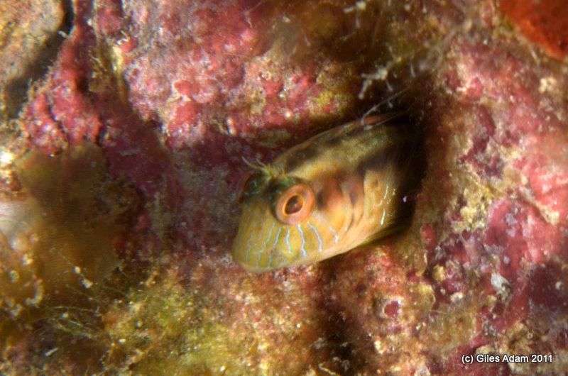 DSC_2330