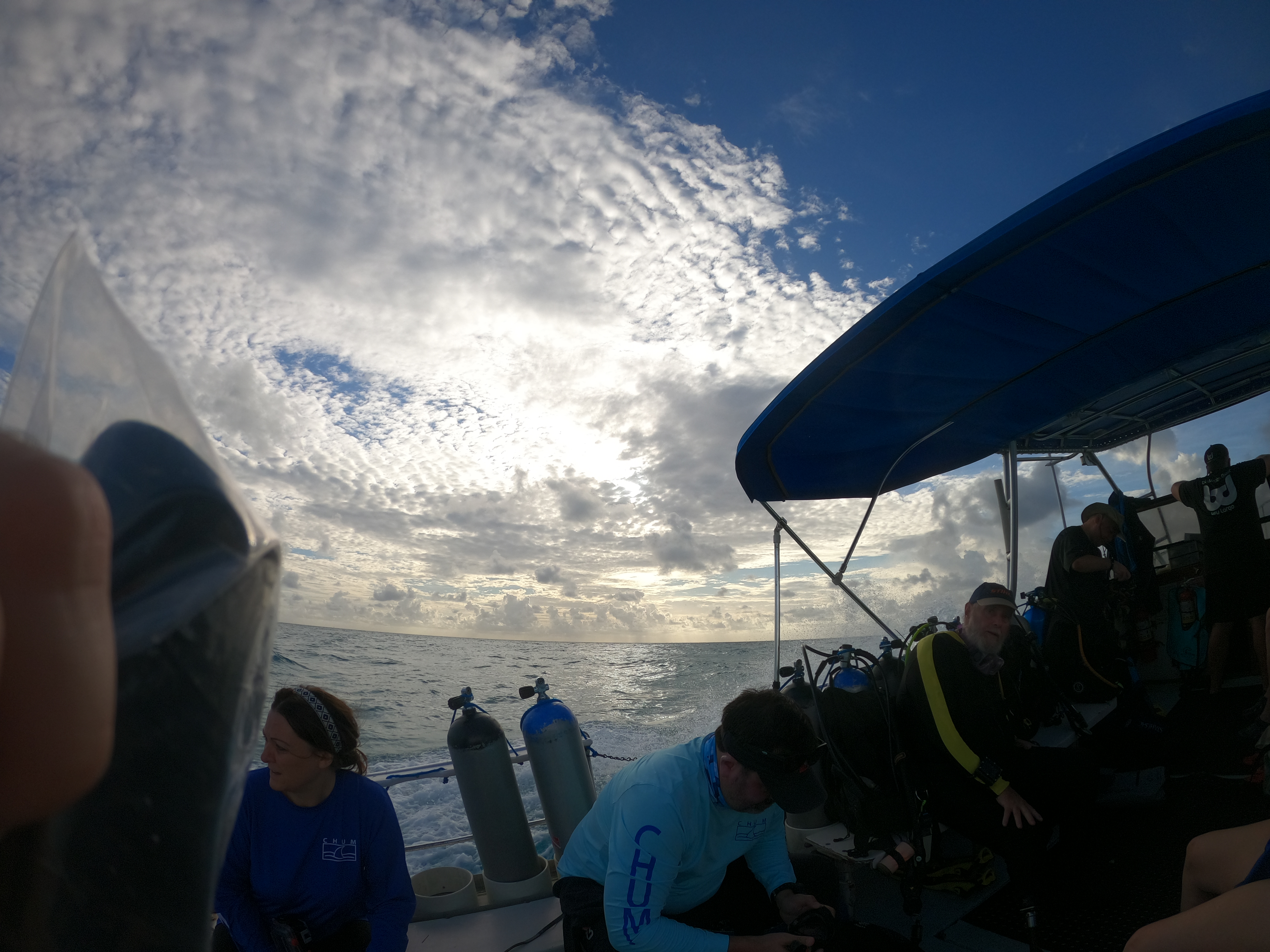 Early Boat Ride