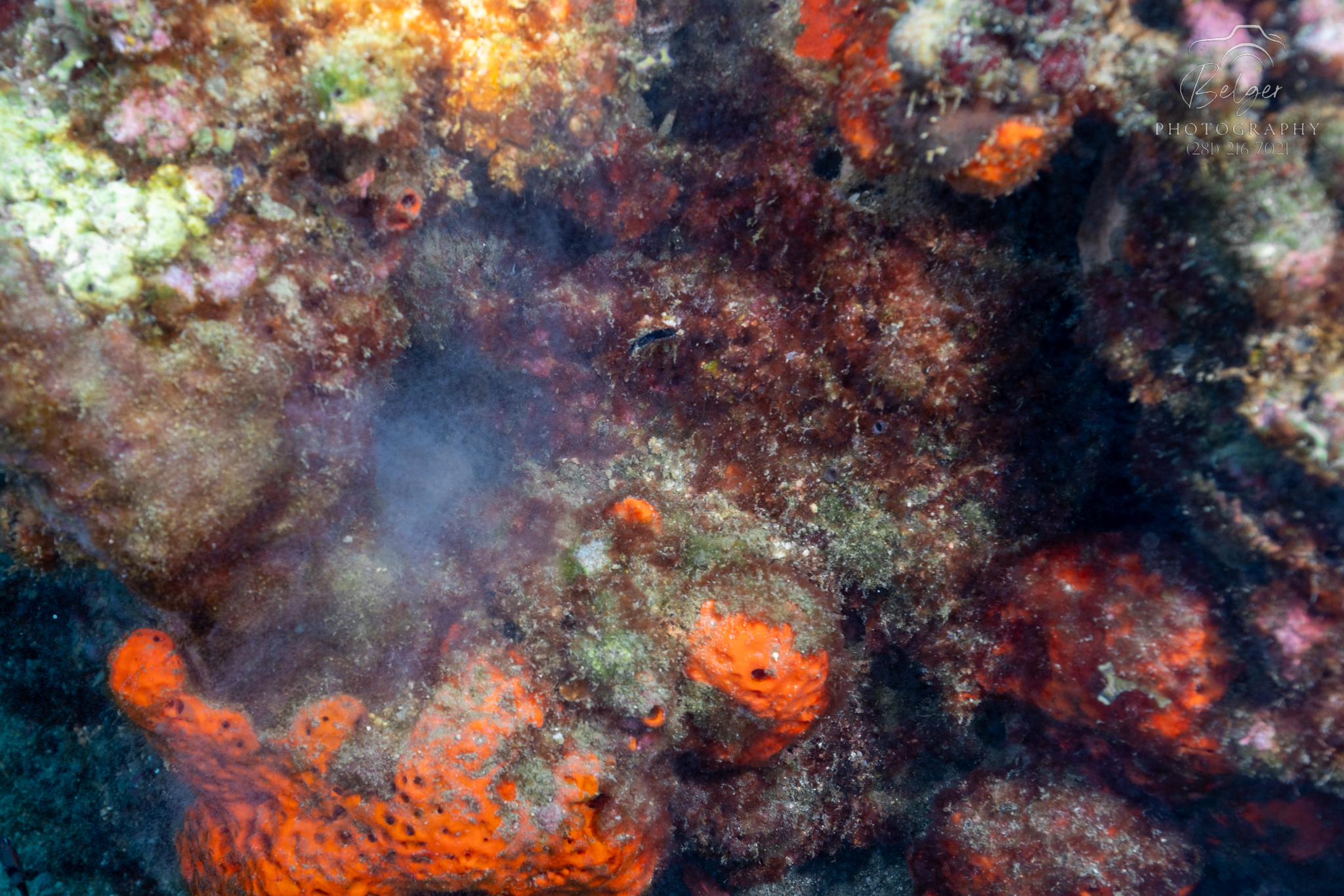 F05A2912.jpg
