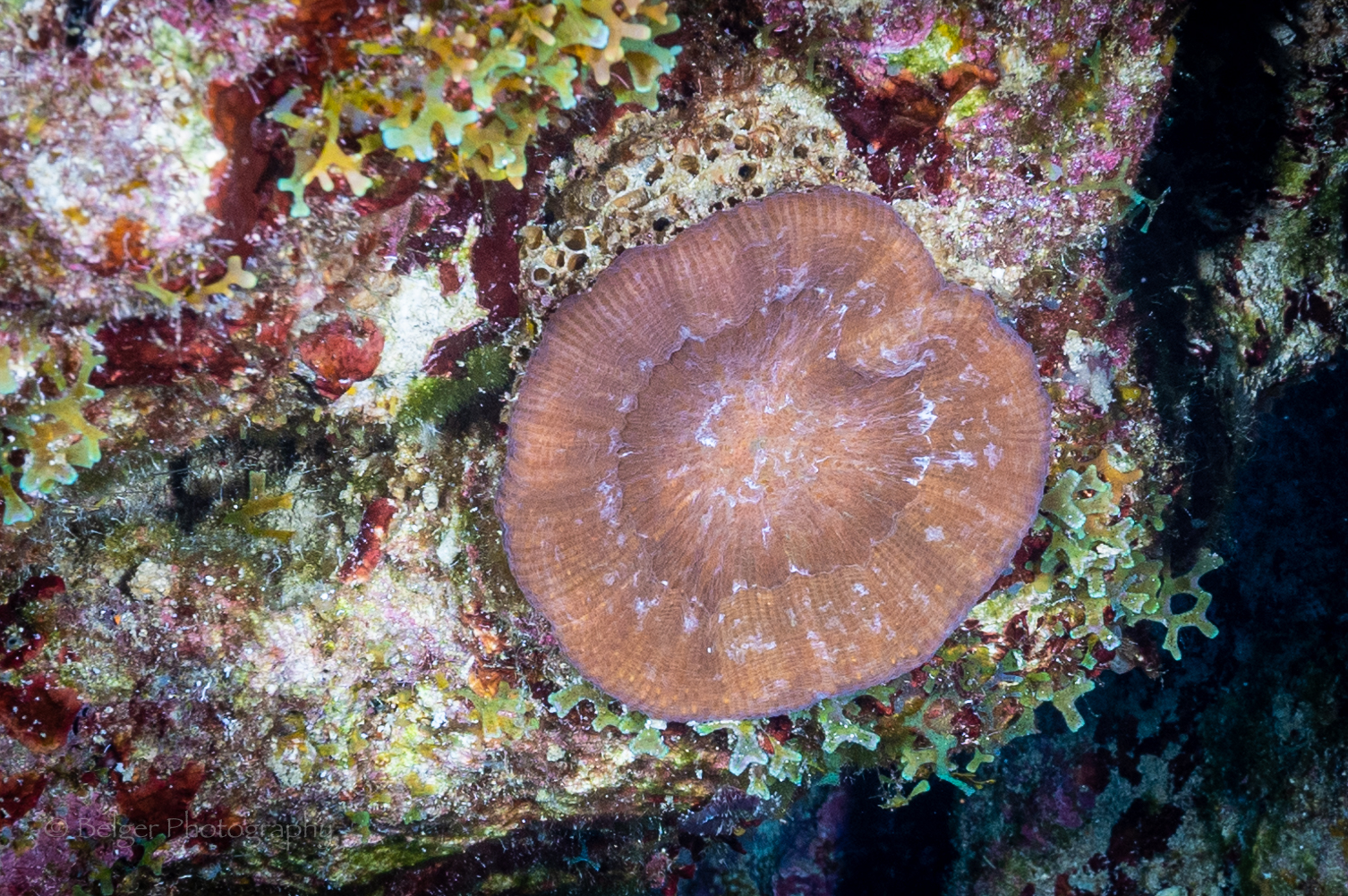 F05A5498.jpg