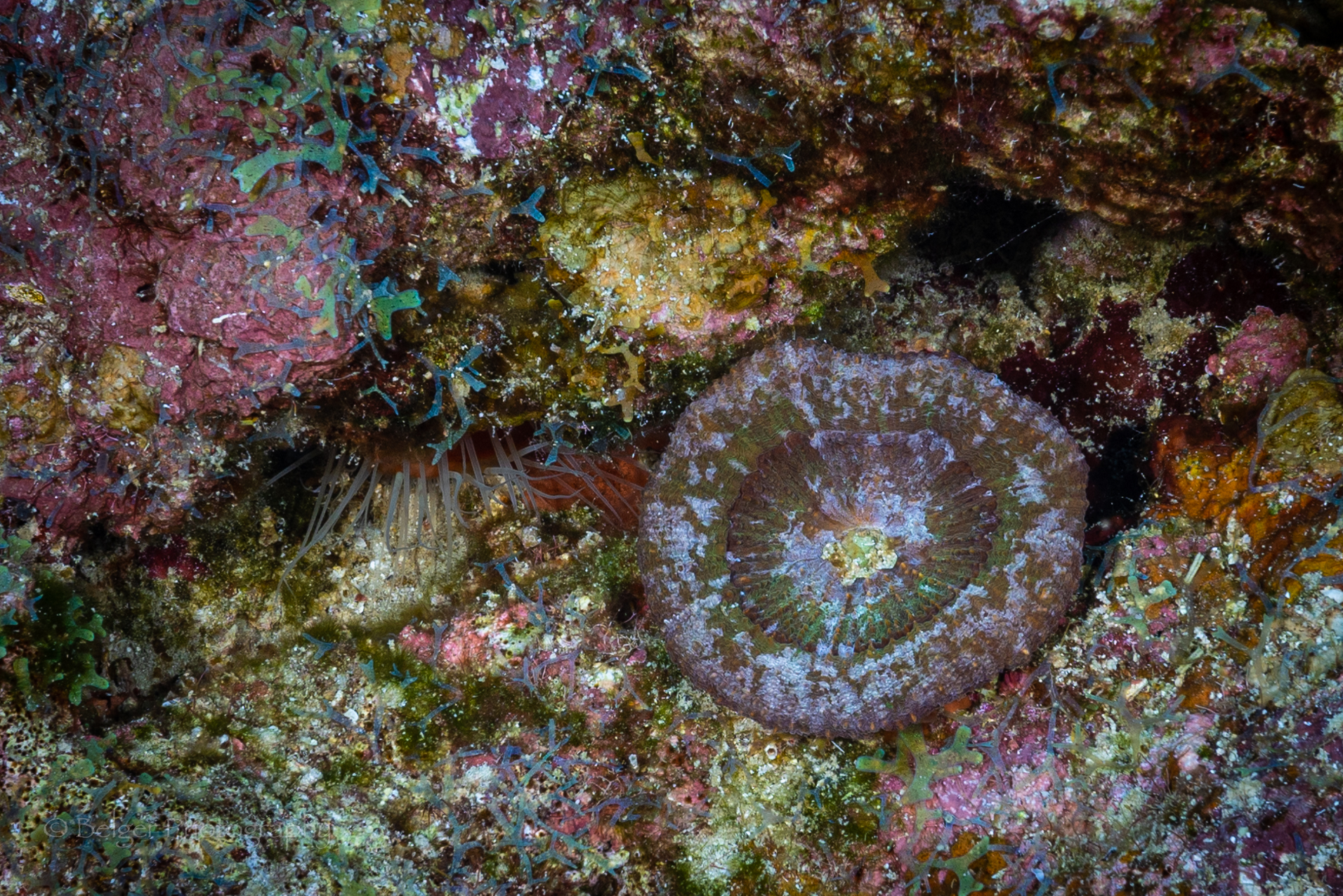 F05A5538.jpg