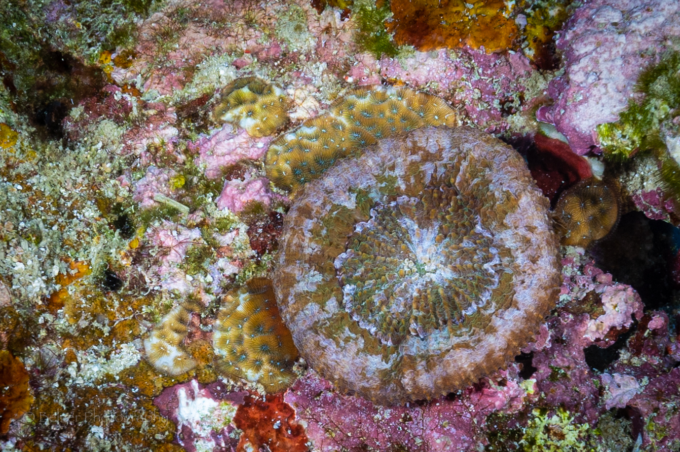F05A5539.jpg