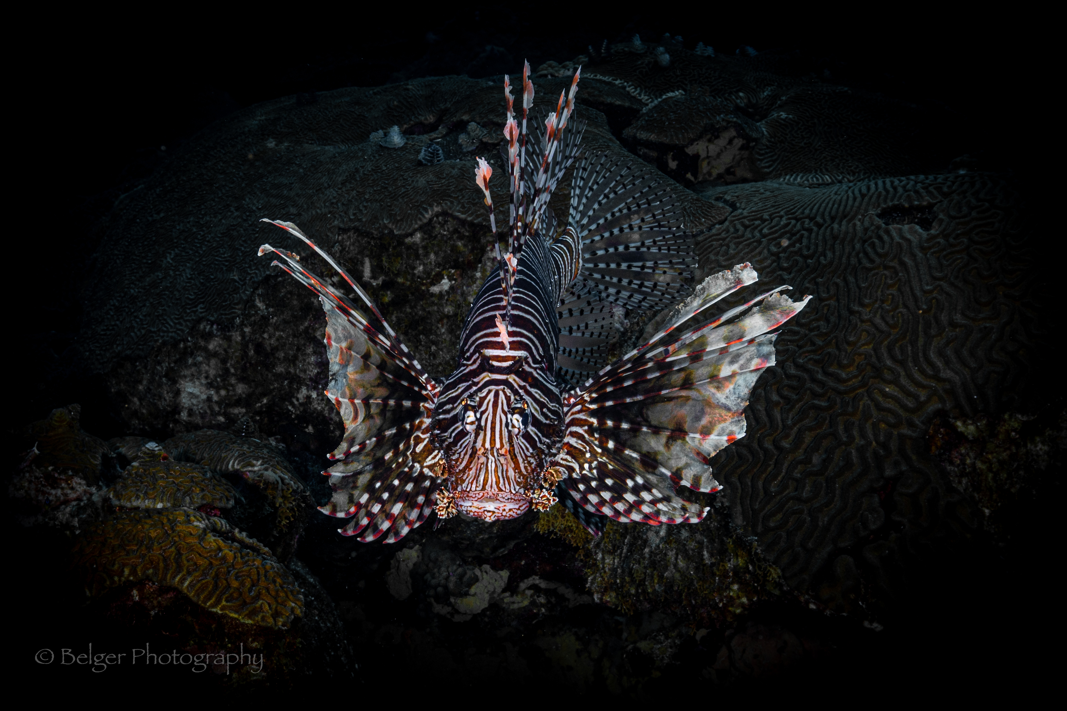 F05A5659-2.jpg