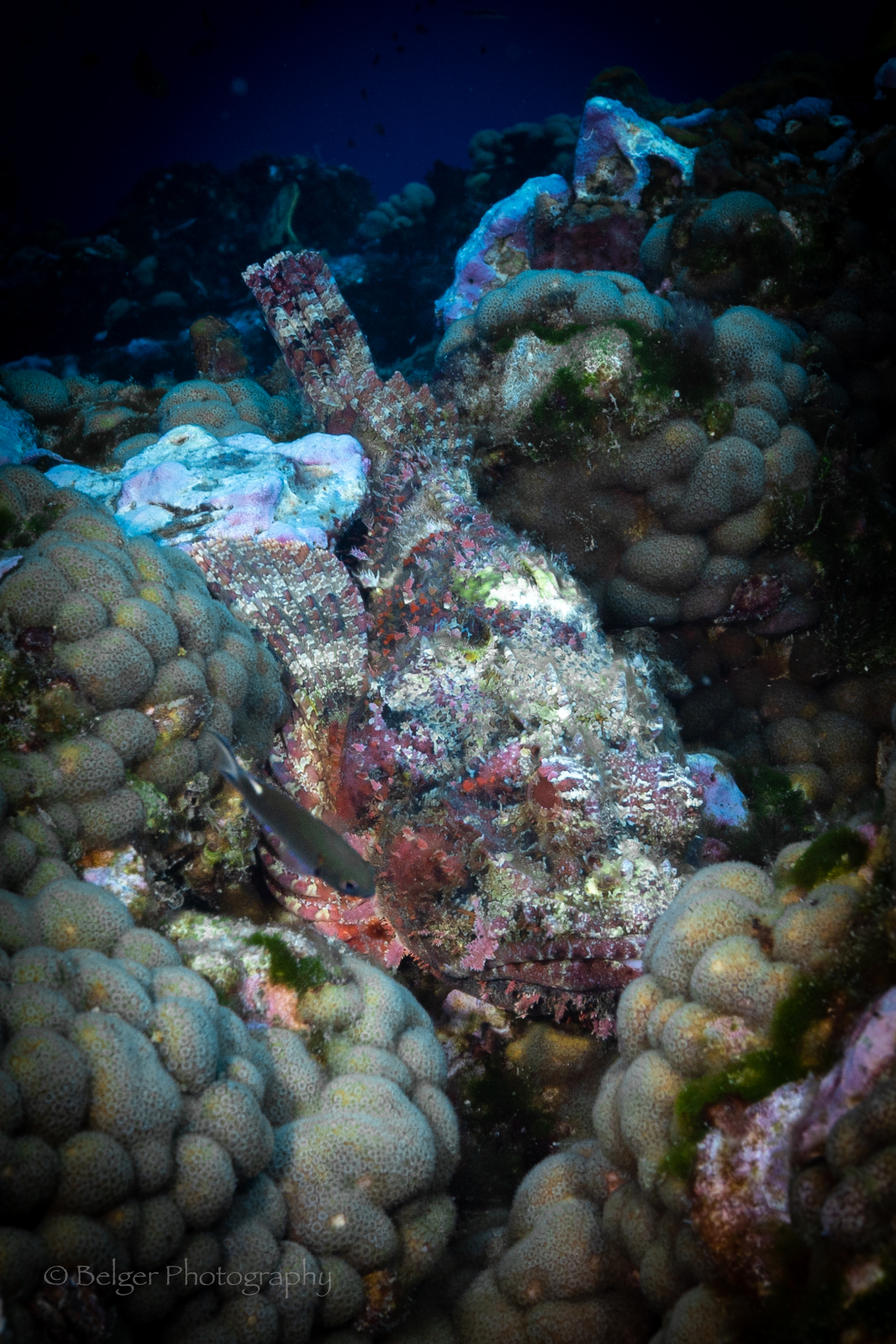 F05A5747.jpg