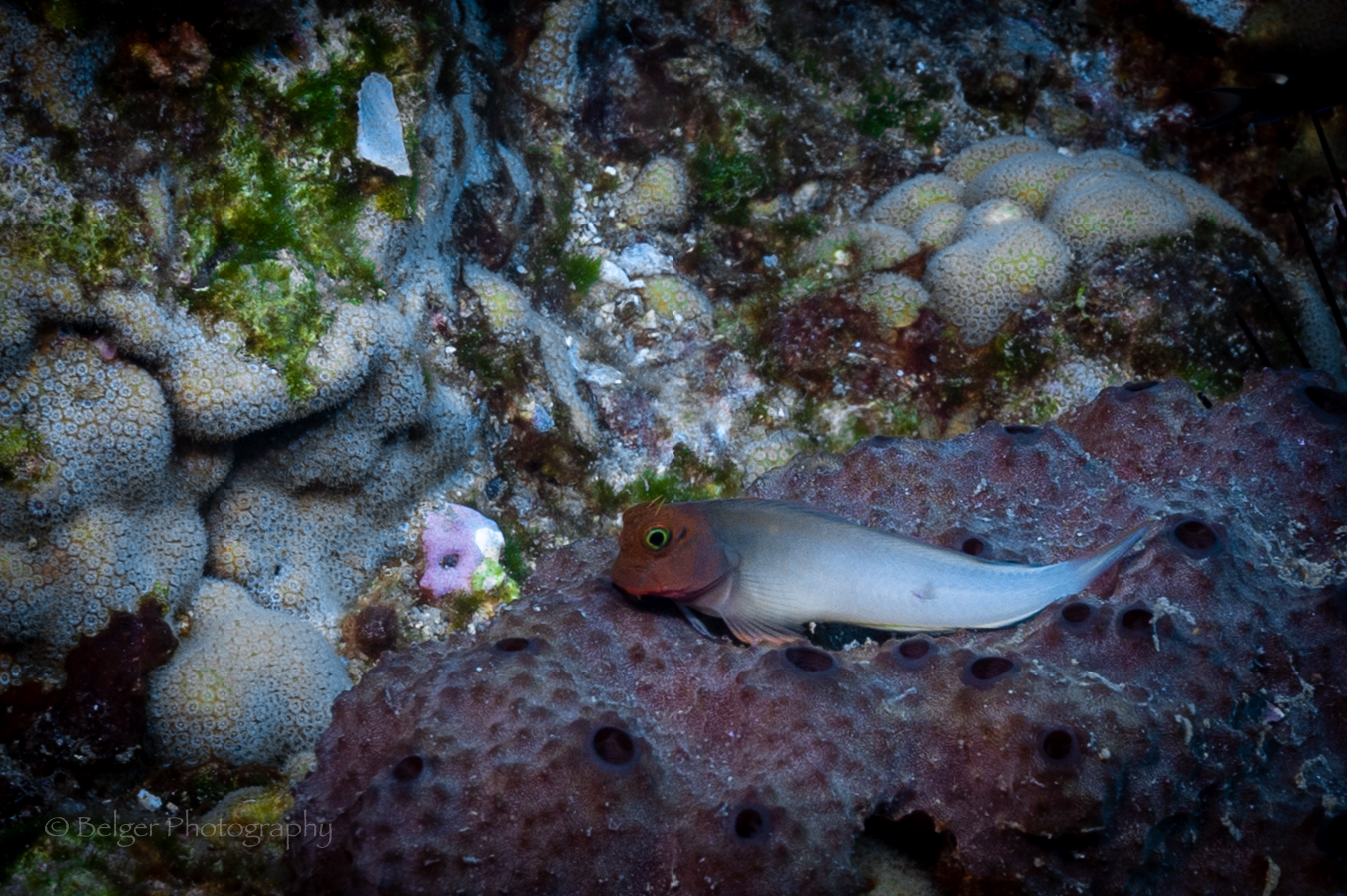 F05A5780.jpg