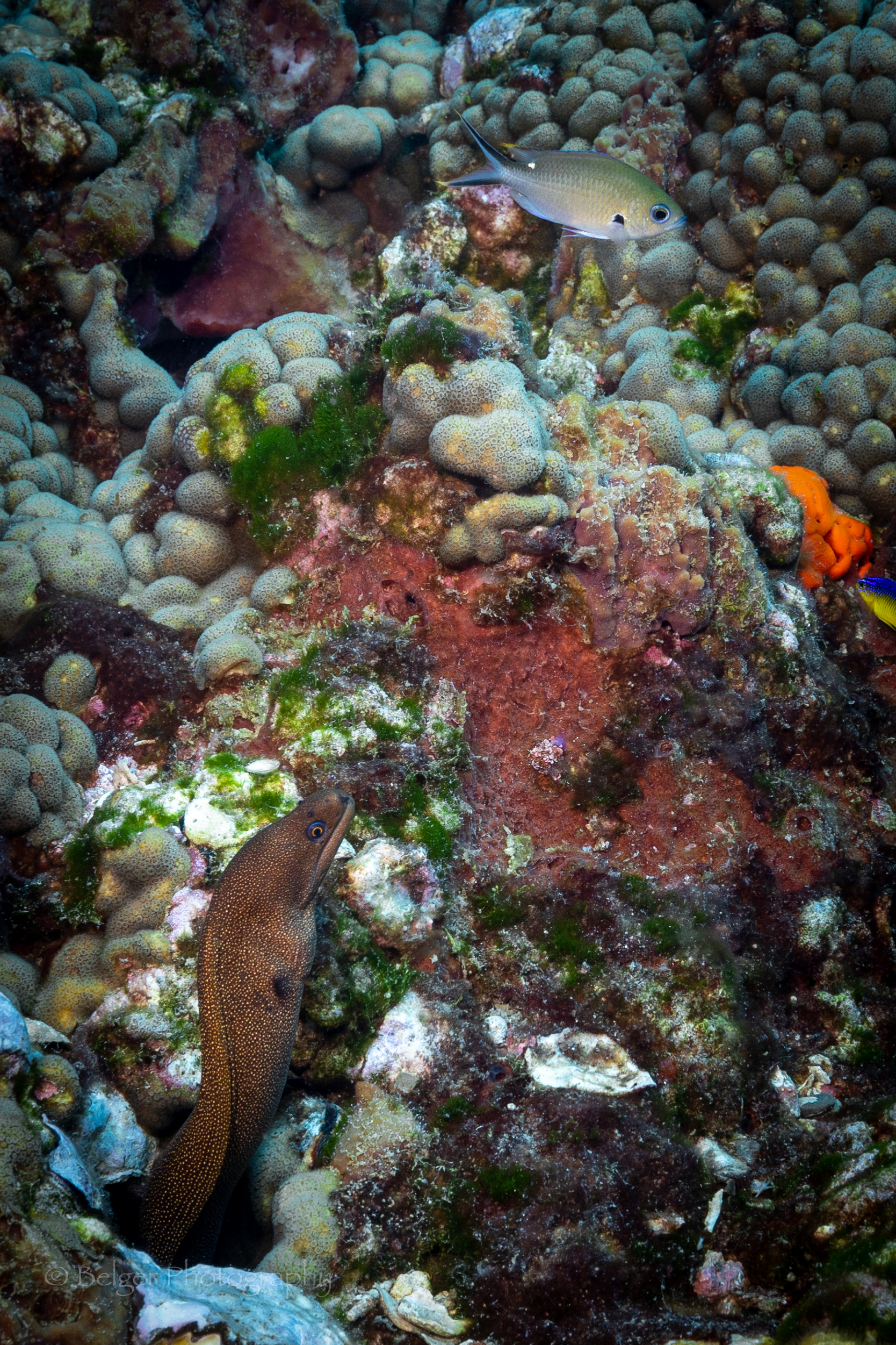 F05A5785.jpg
