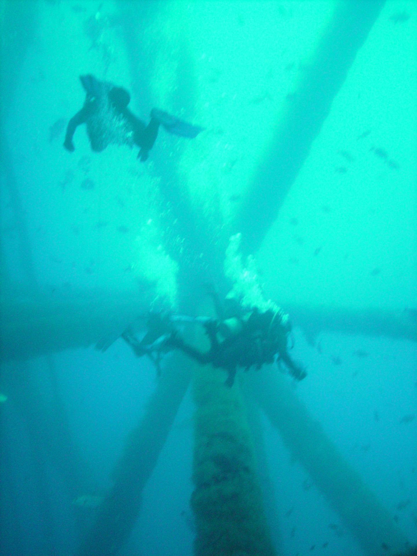 Flower Gardens trip aboard the M/V Fling 6/5-6/7/2009