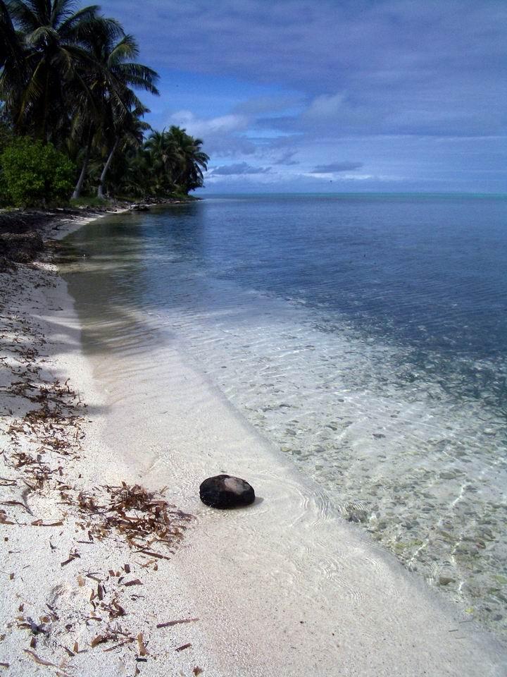 Half Moon Caye