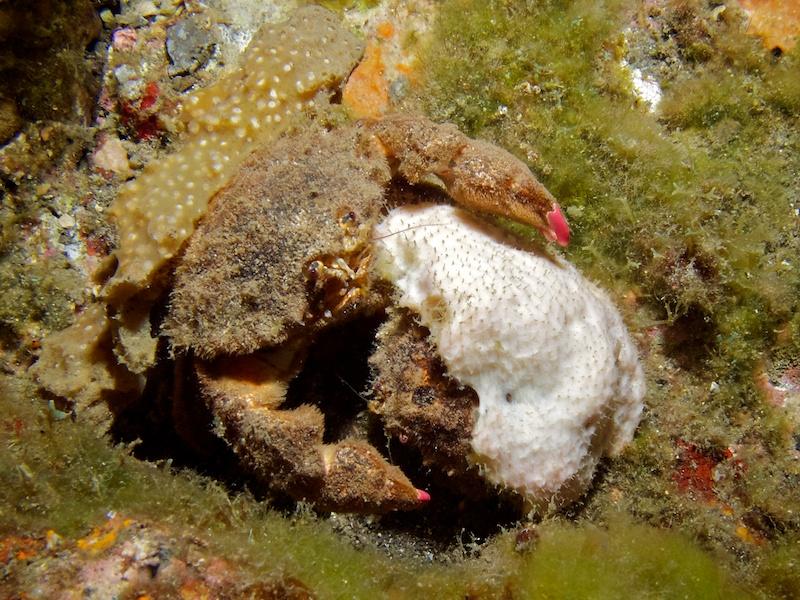 IMG_363018