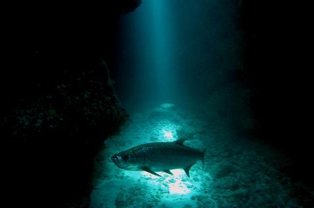 In the Spotlight