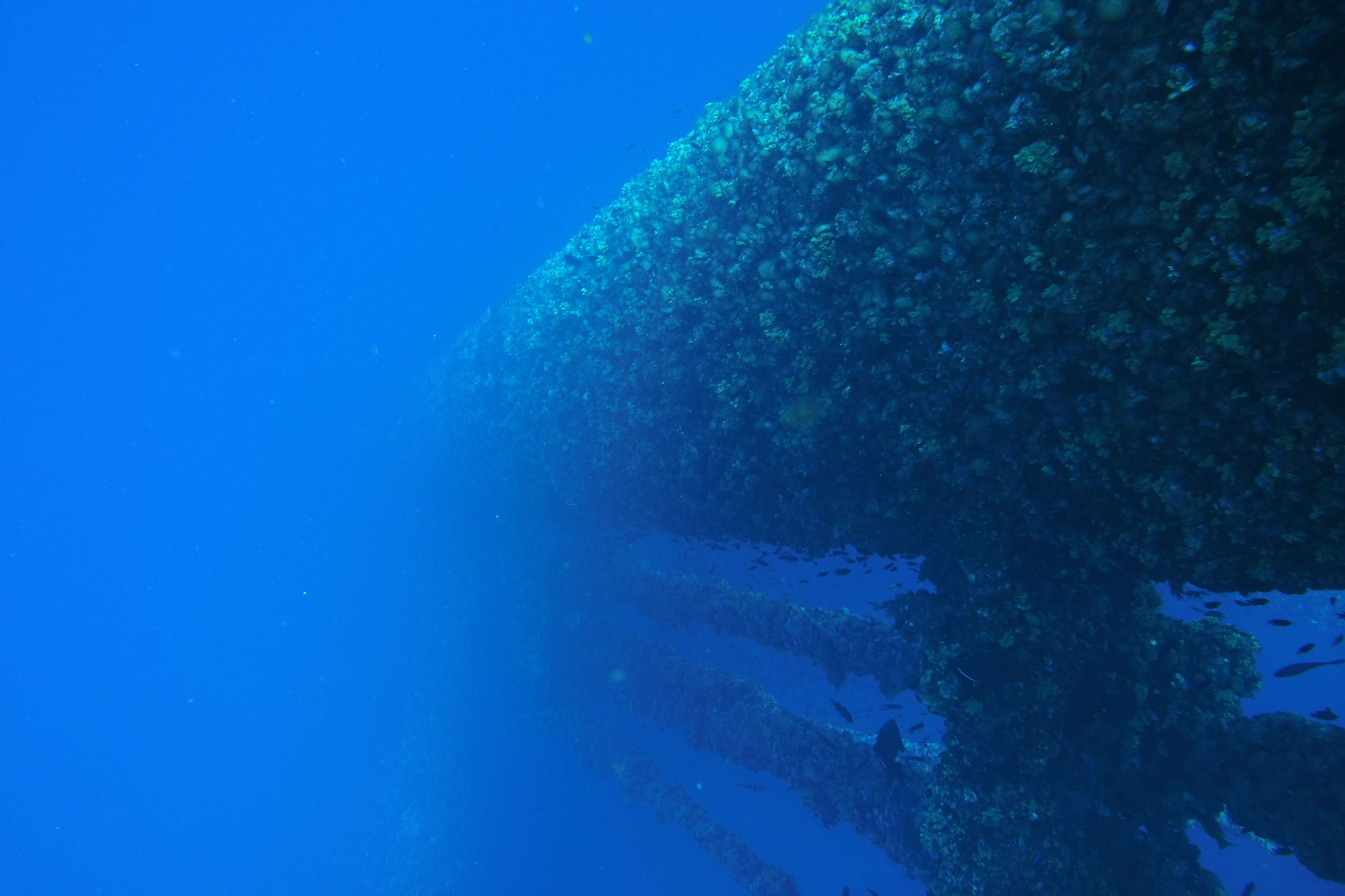 Into the abyss