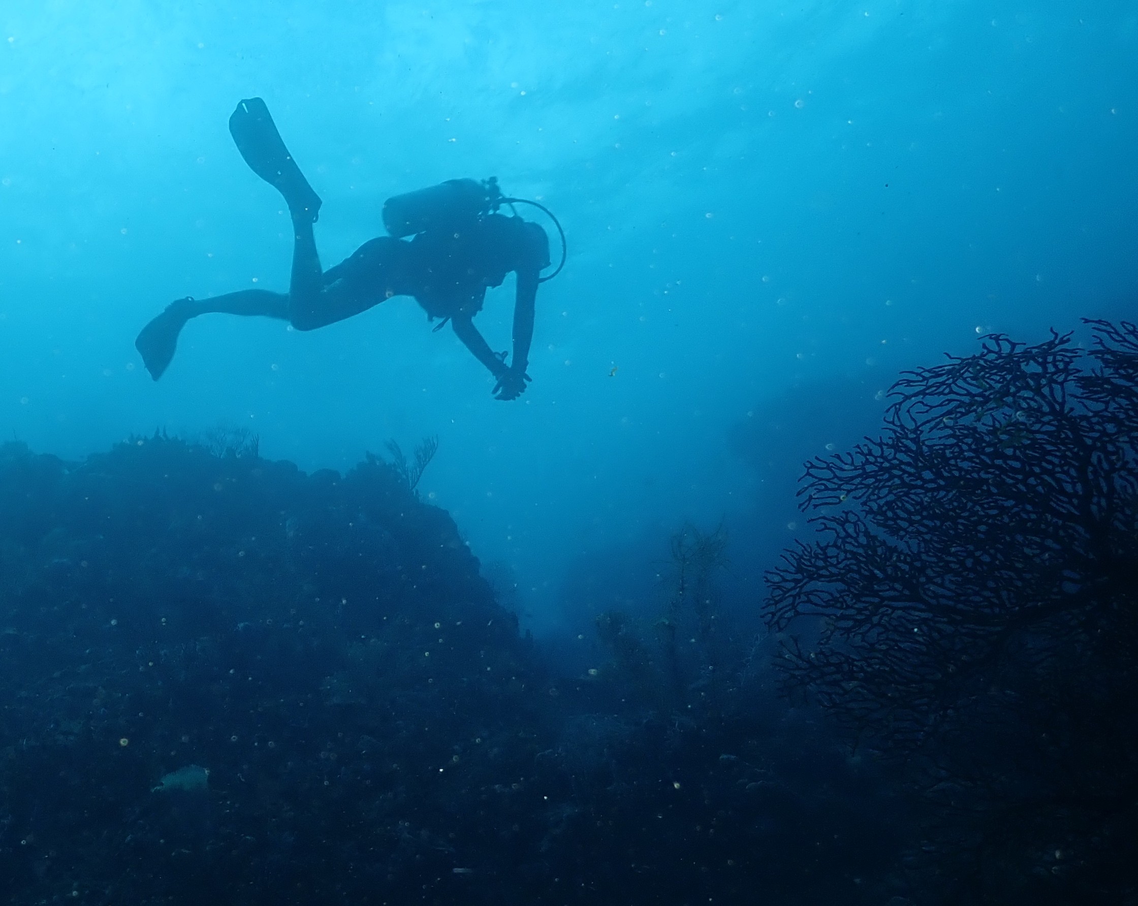 Into the blue