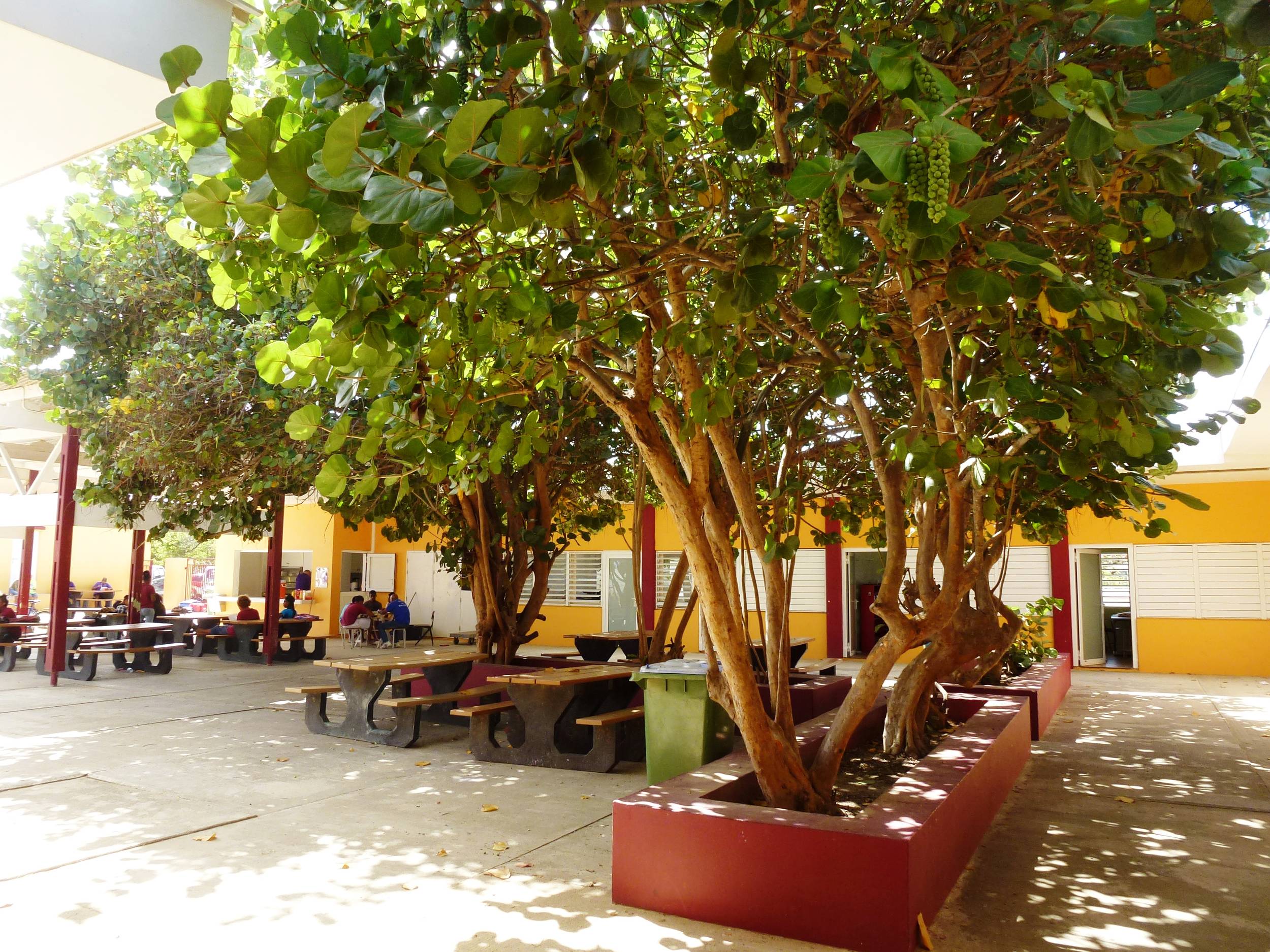 Jong_Bonaire_11