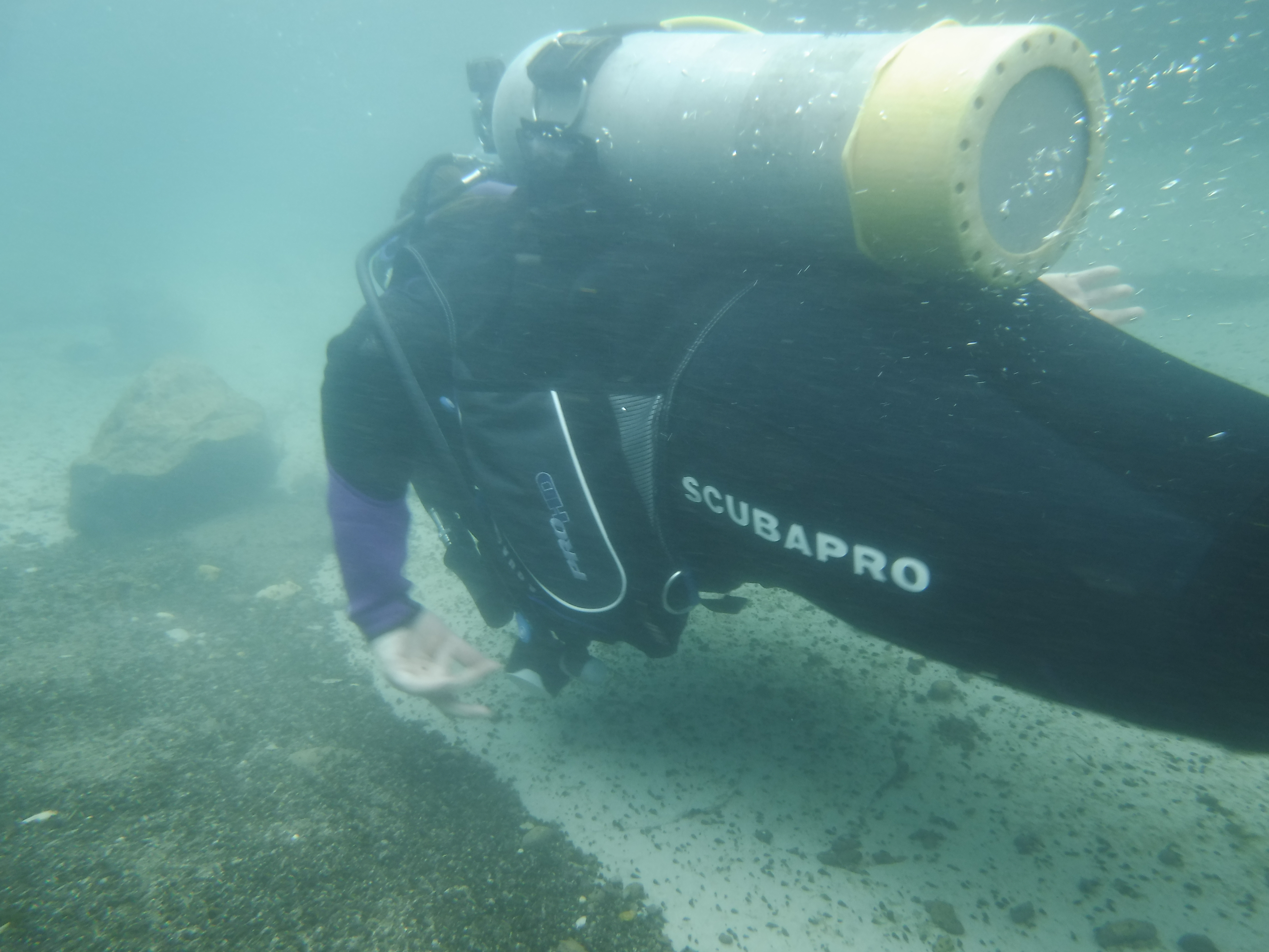LakeDiver Makes Headway - MAR Comal
