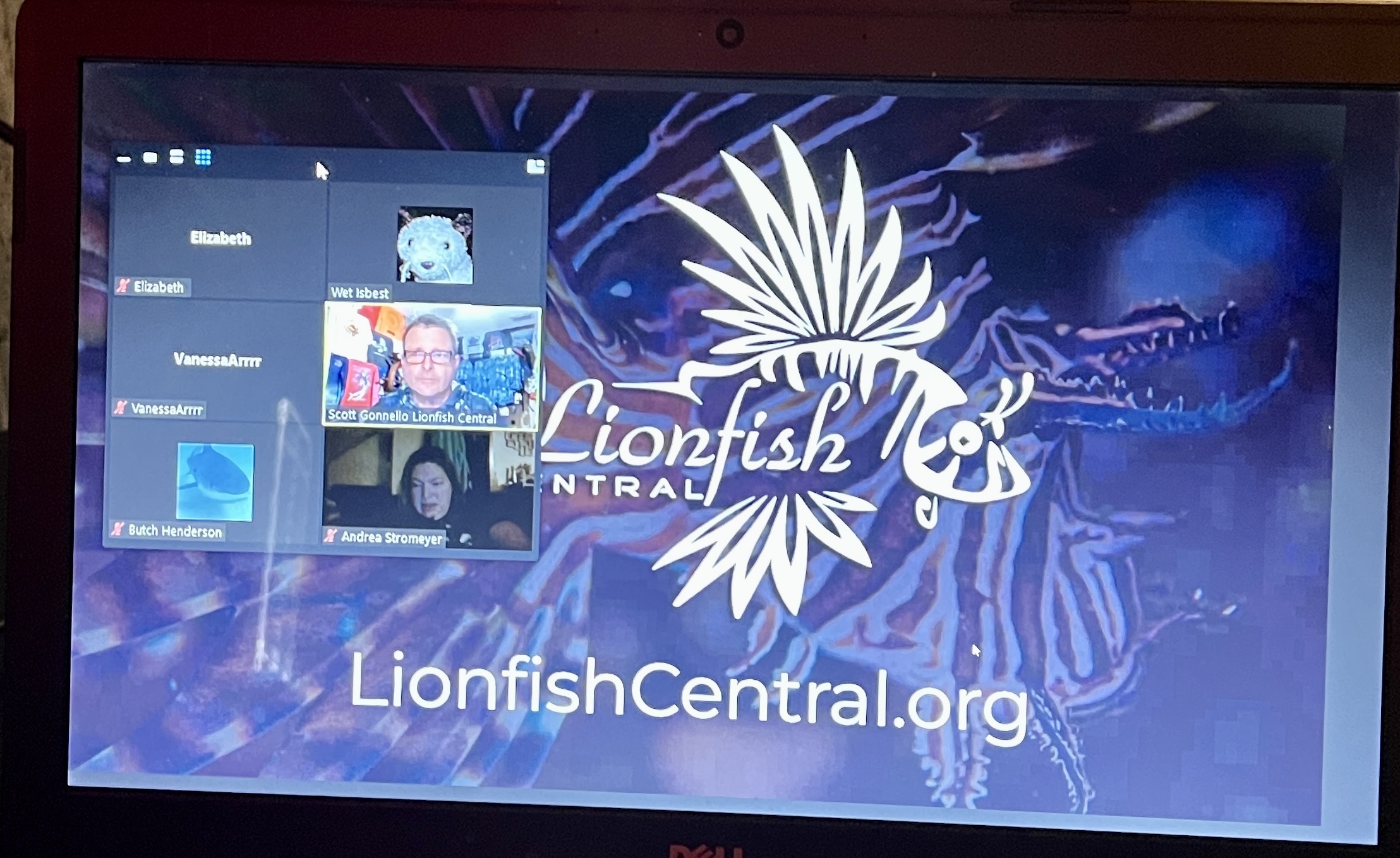 Lionfish Central - our Feb speaker