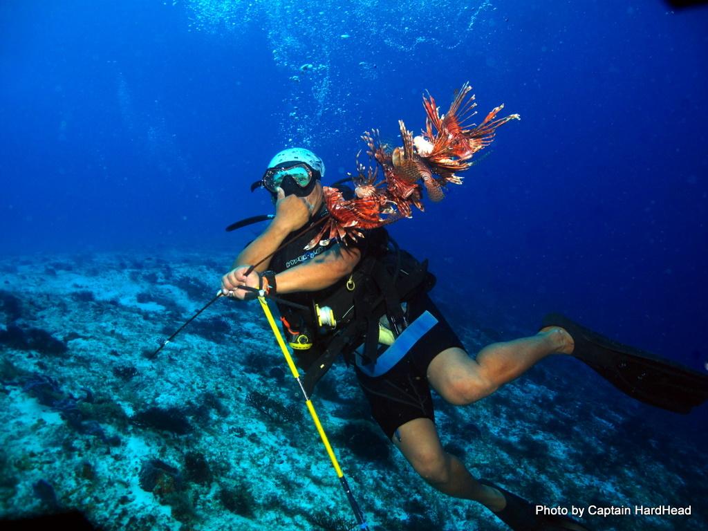 Lionfish Hunter