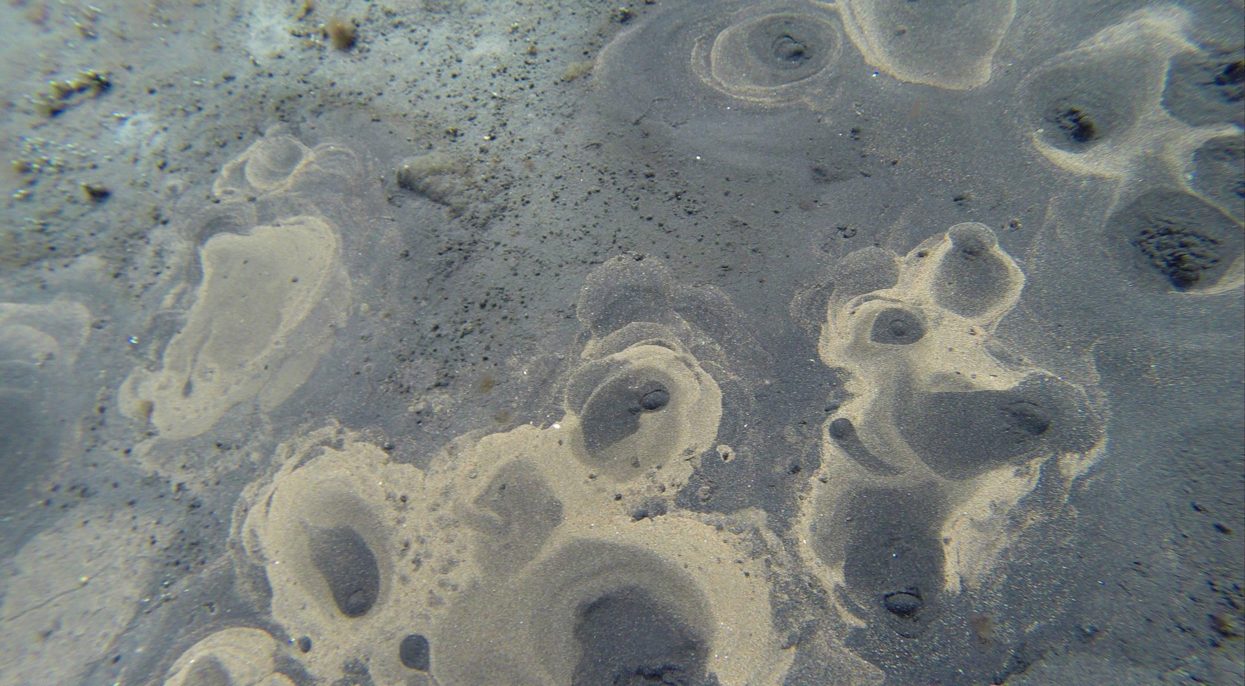 Litla sands
