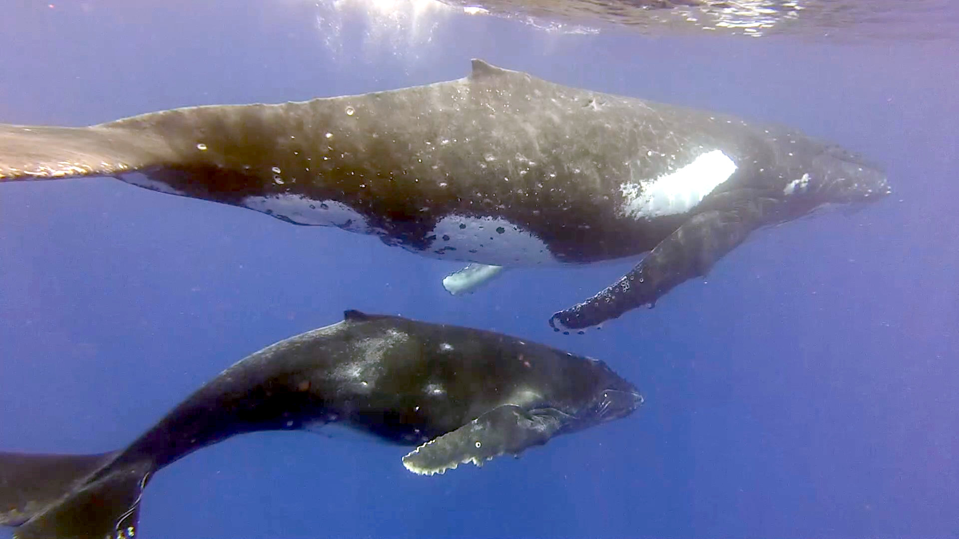 Mama and baby 2