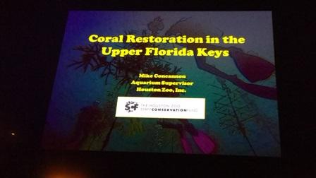March 2016 - It's all about the corals