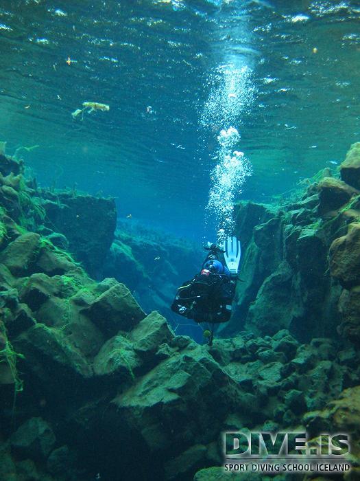 McLot in shallow water in Silfra Iceland