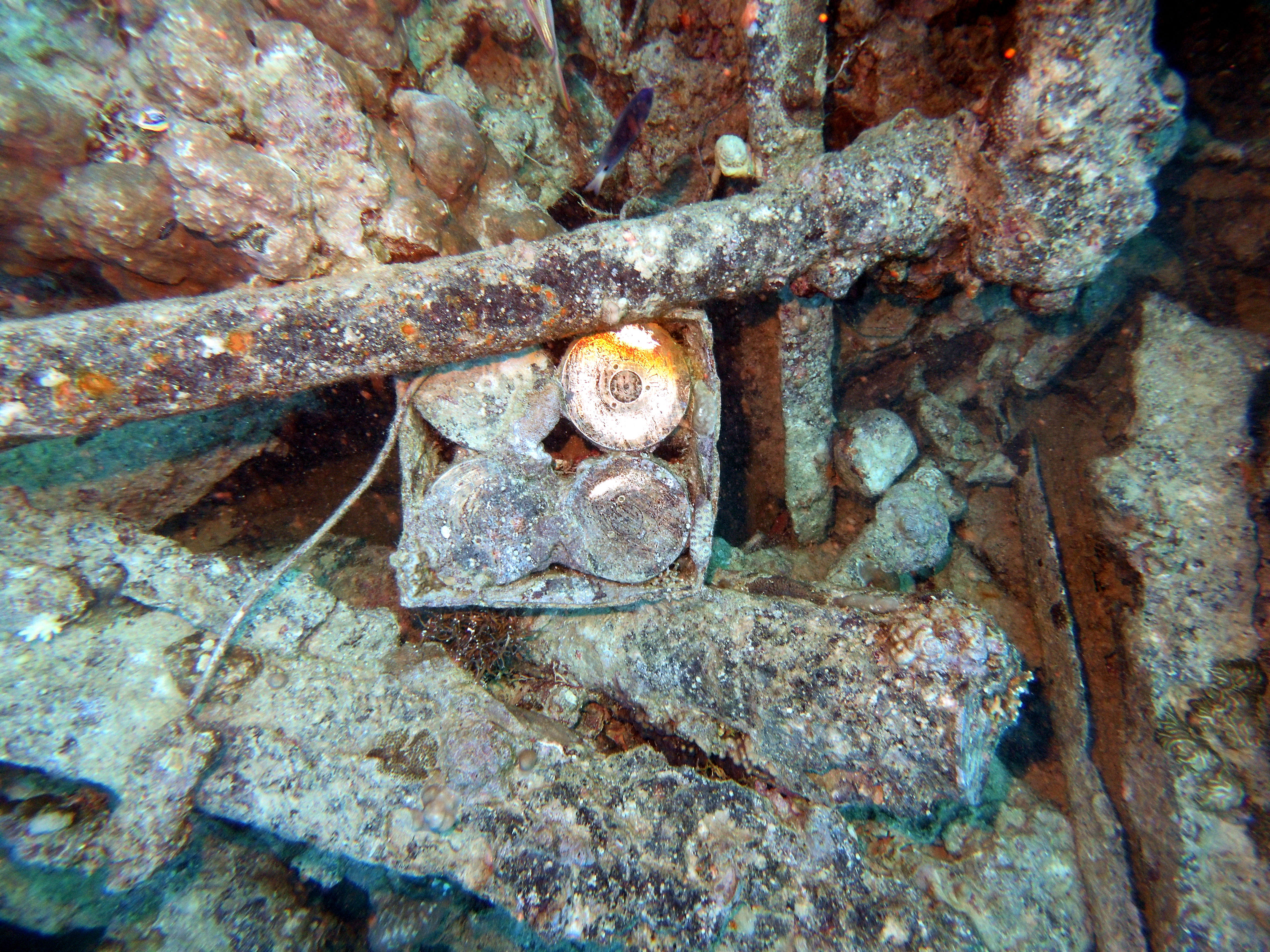 Munitions shells on the Thistlegorm