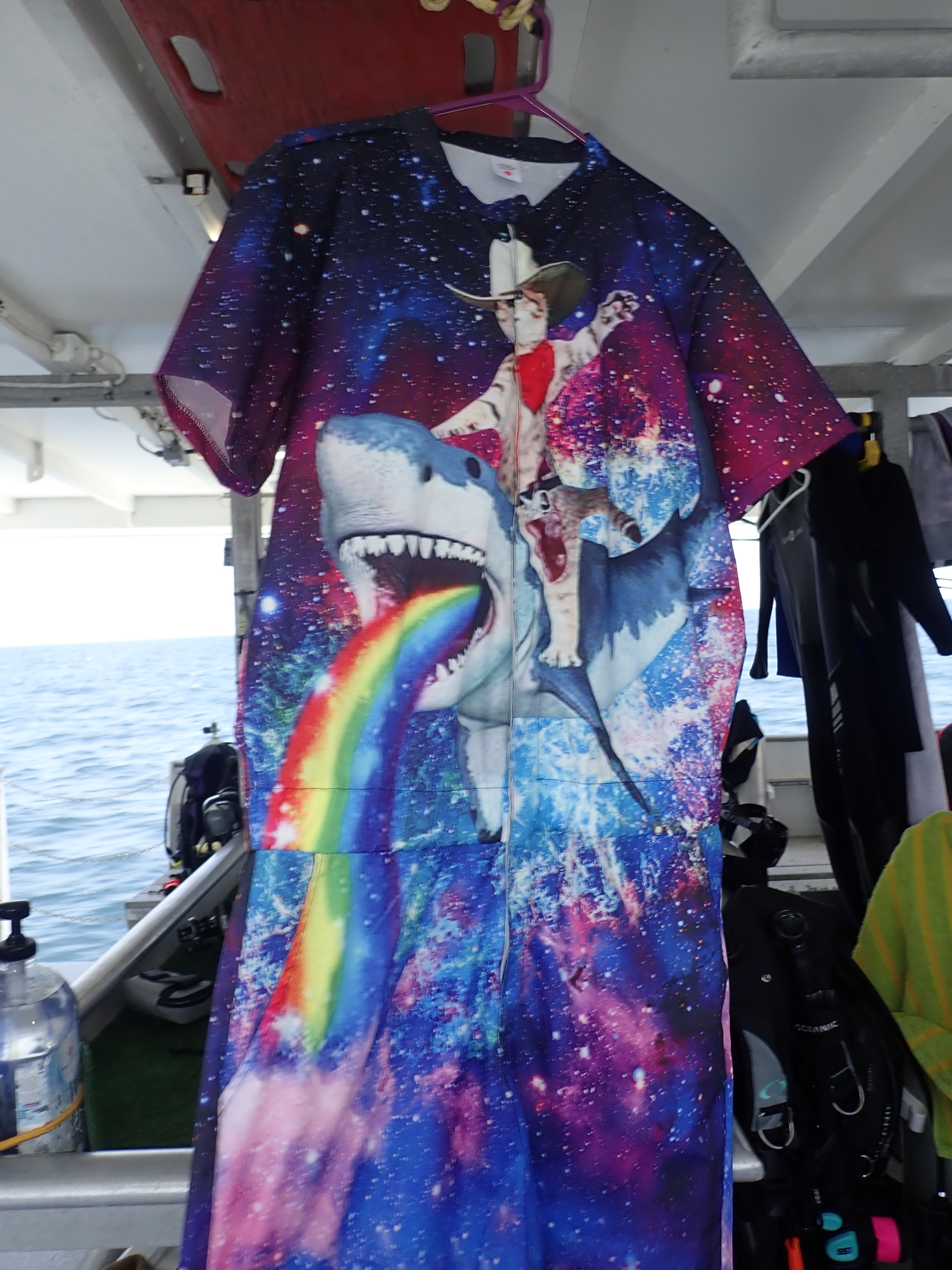 Now THAT'S a wetsuit!