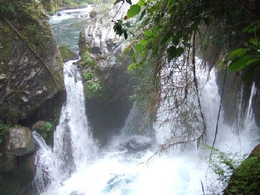 On Top of the Falls