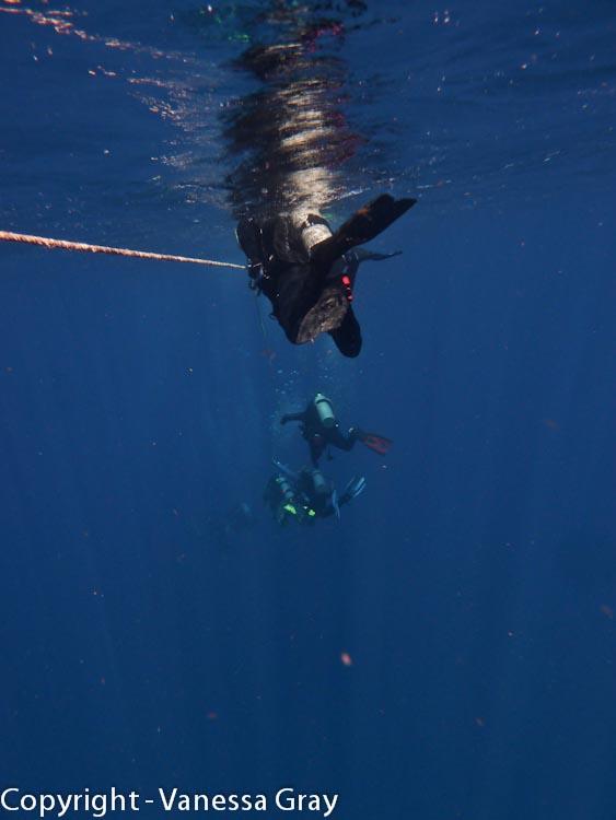 Online Divers