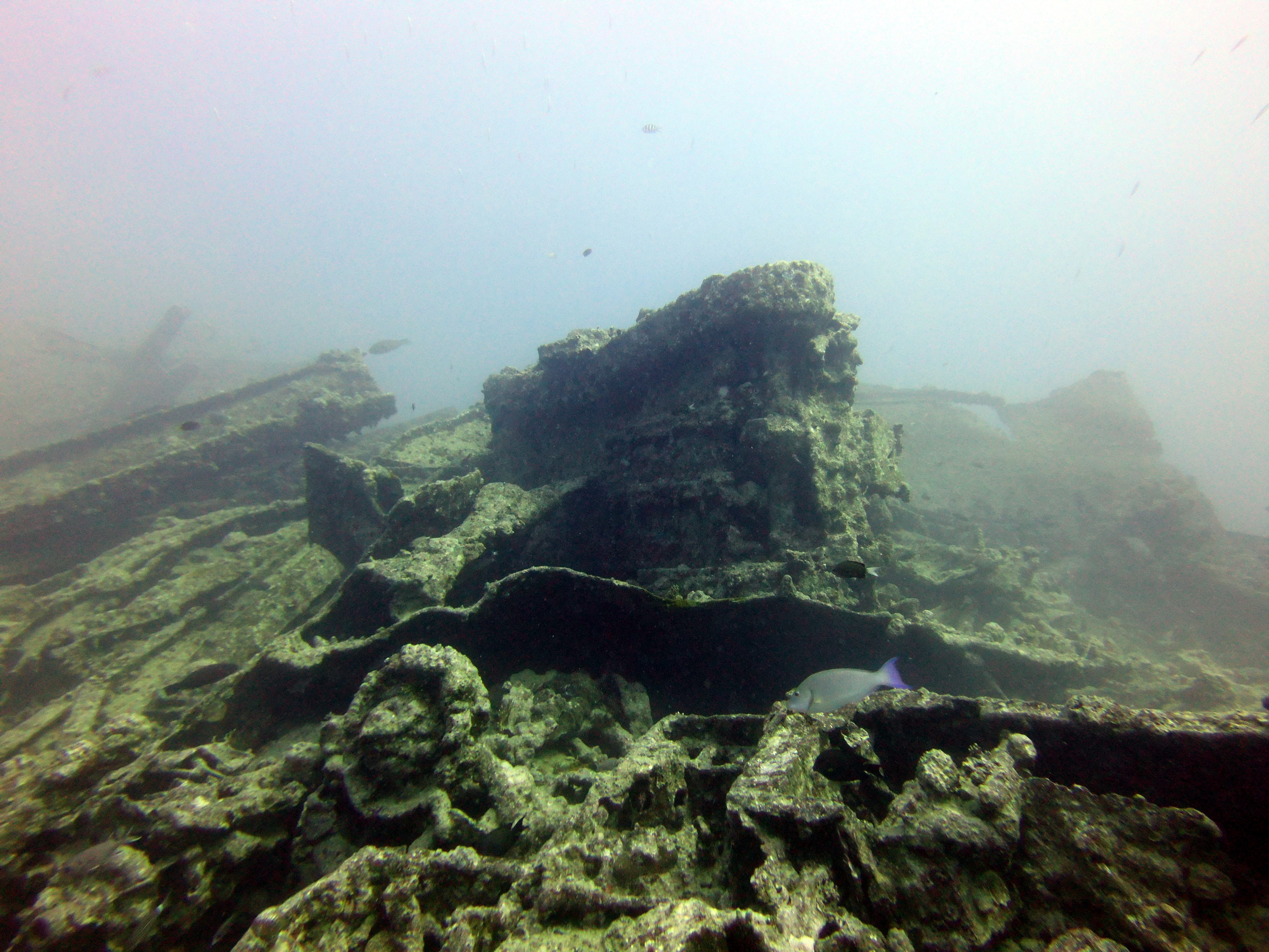 Overturned tank on the Thistlegorm